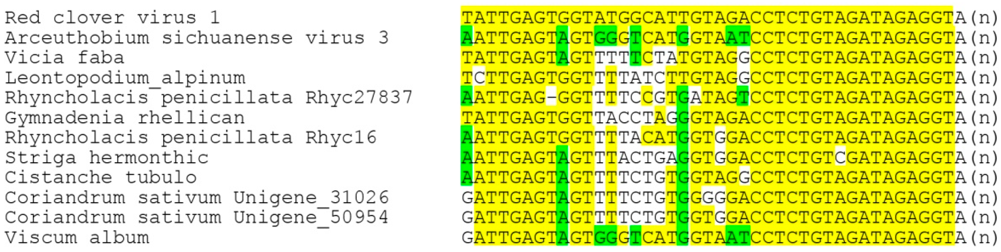 Viruses 14 02680 g007