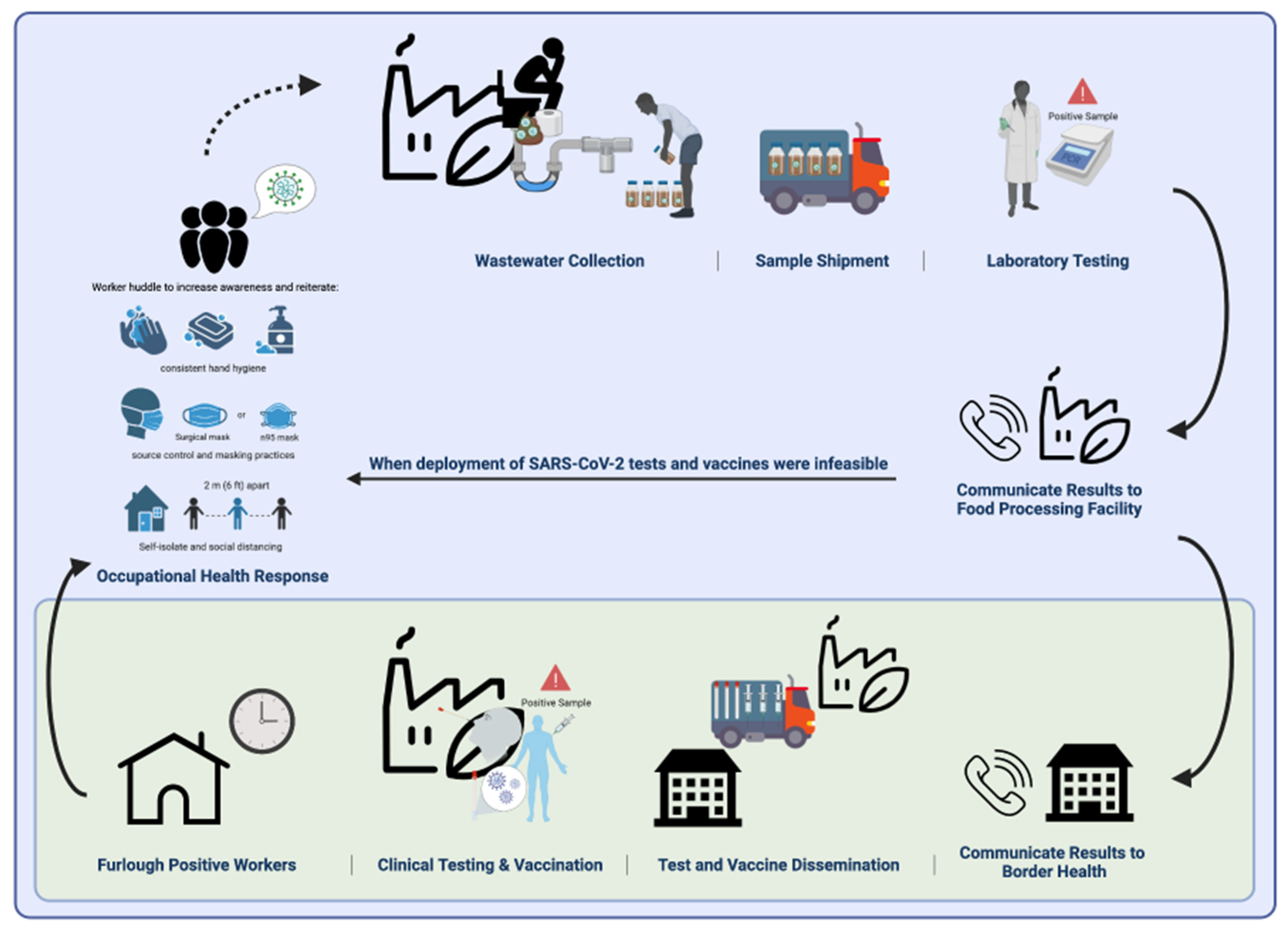 Viruses 14 02684 g001 Viruses 14 02684 g001