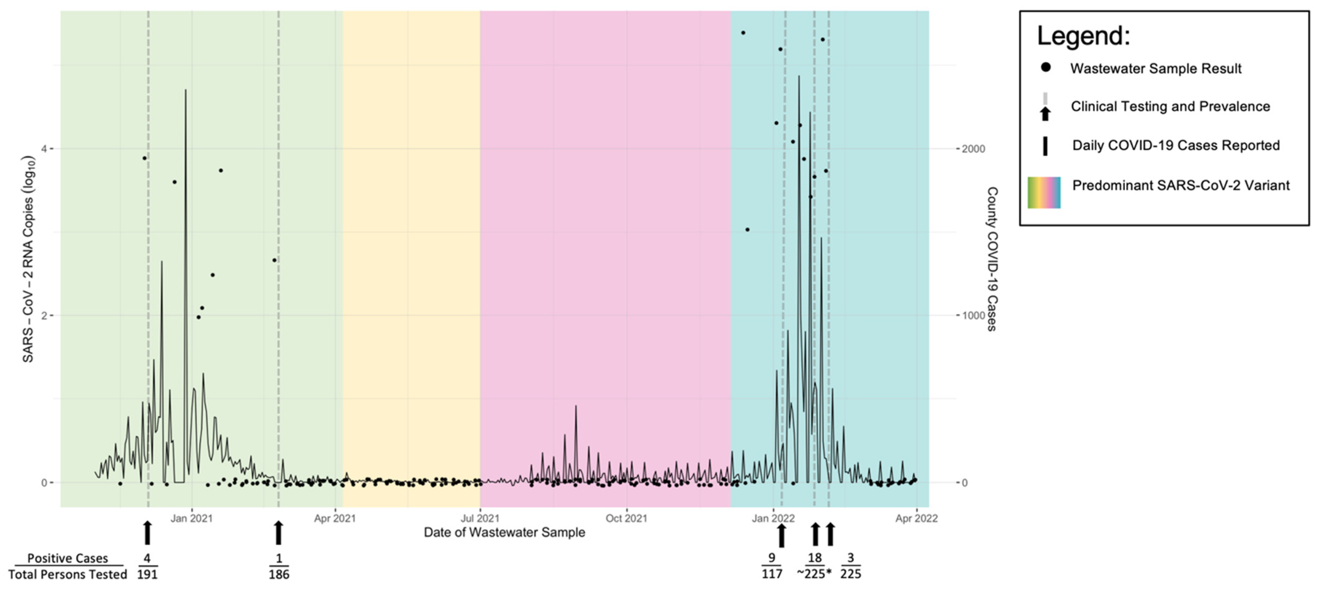 Viruses 14 02684 g002 Viruses 14 02684 g002