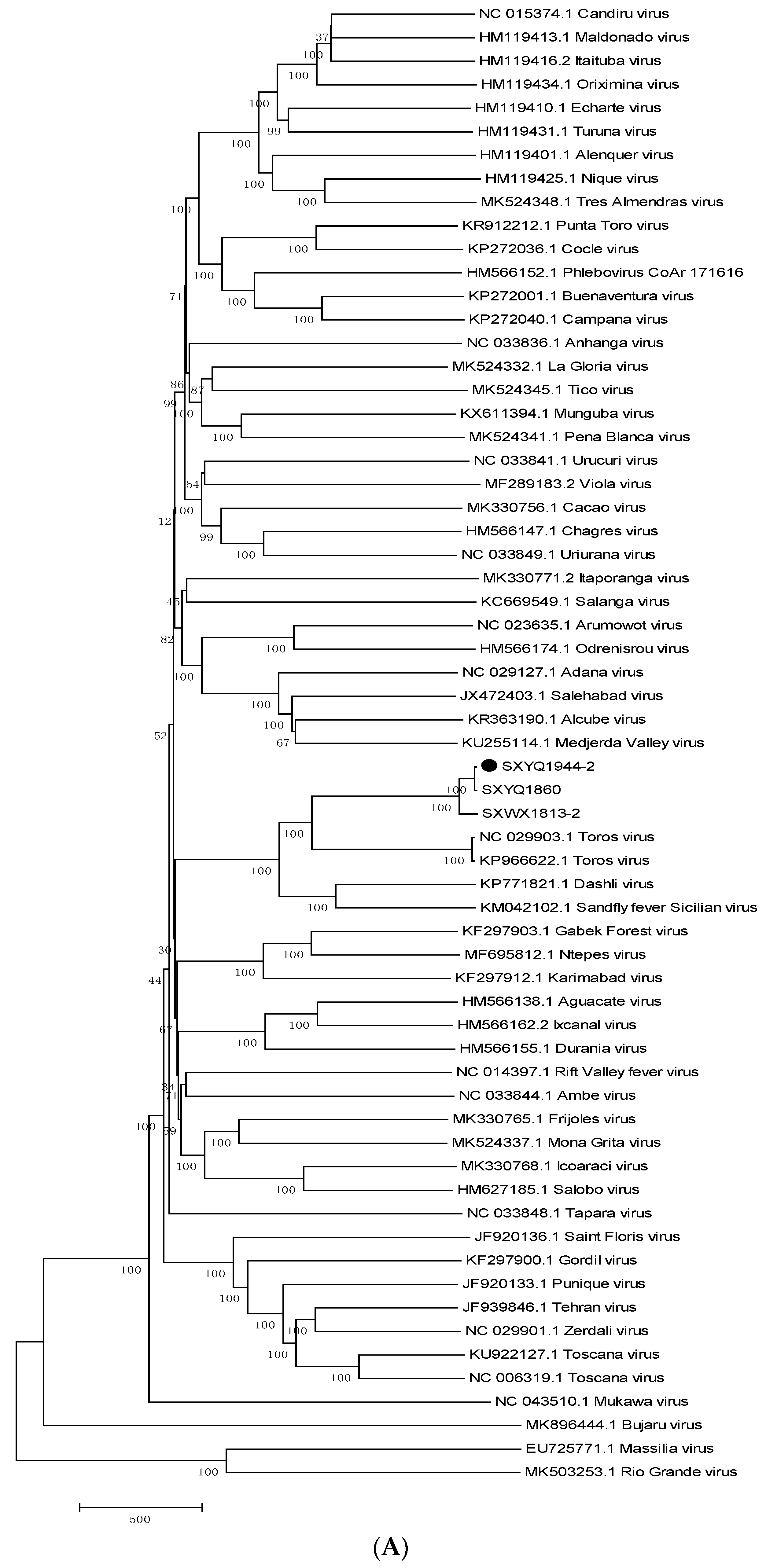 Viruses 14 02692 g004a Viruses 14 02692 g004a