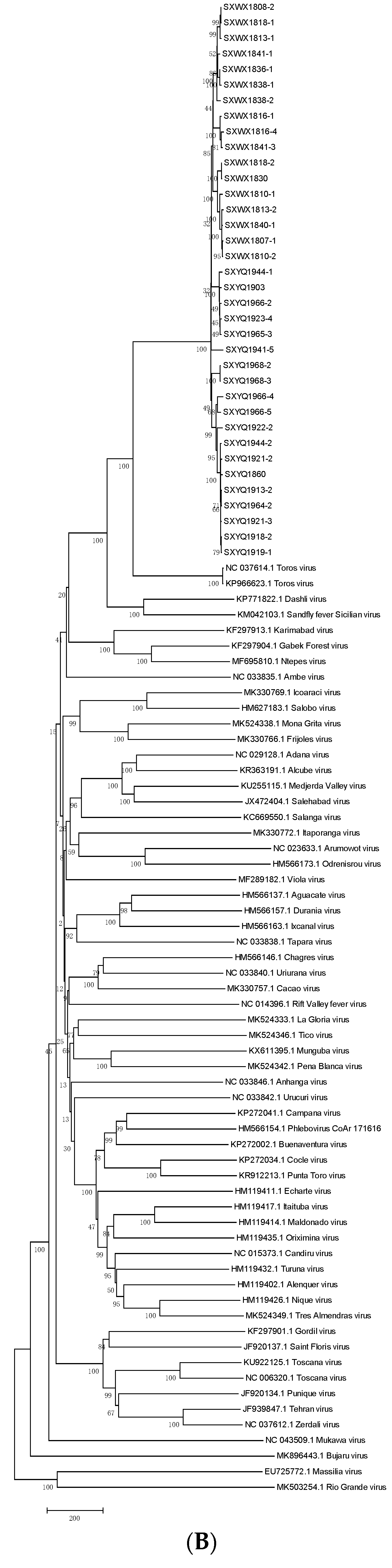 Viruses 14 02692 g004b Viruses 14 02692 g004b