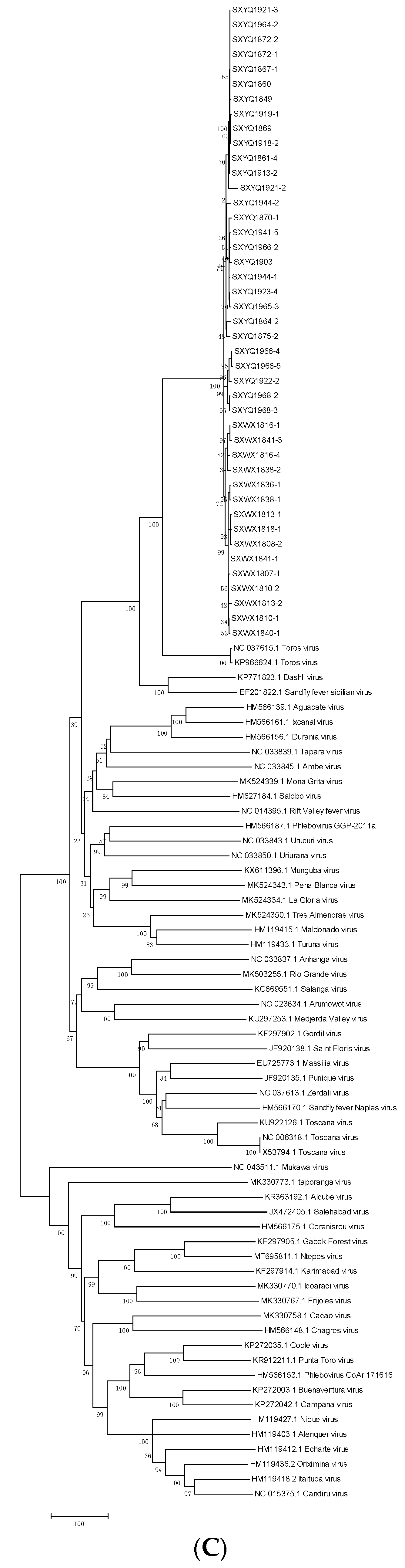 Viruses 14 02692 g004c Viruses 14 02692 g004c