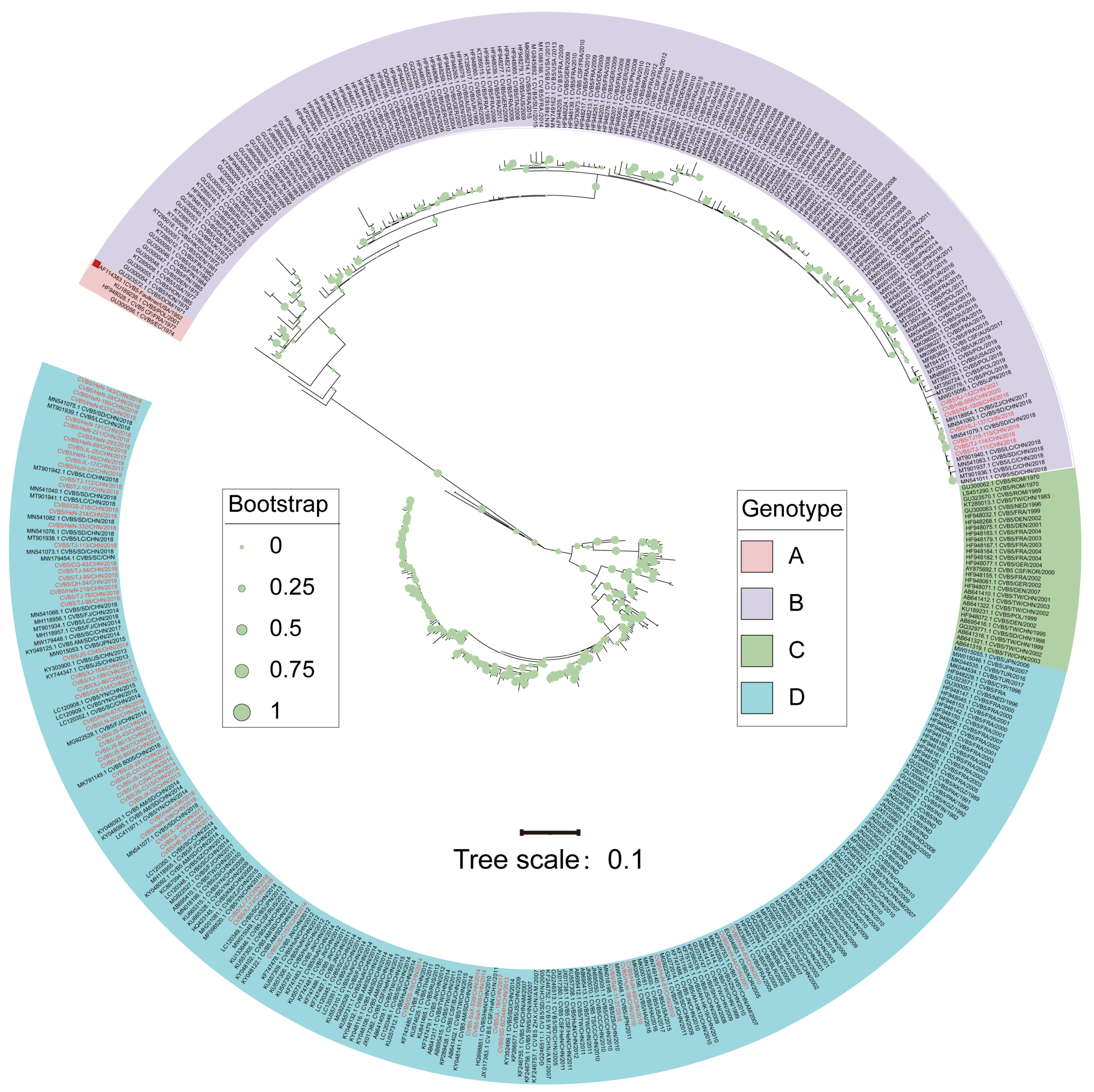 Viruses 14 02693 g001 Viruses 14 02693 g001