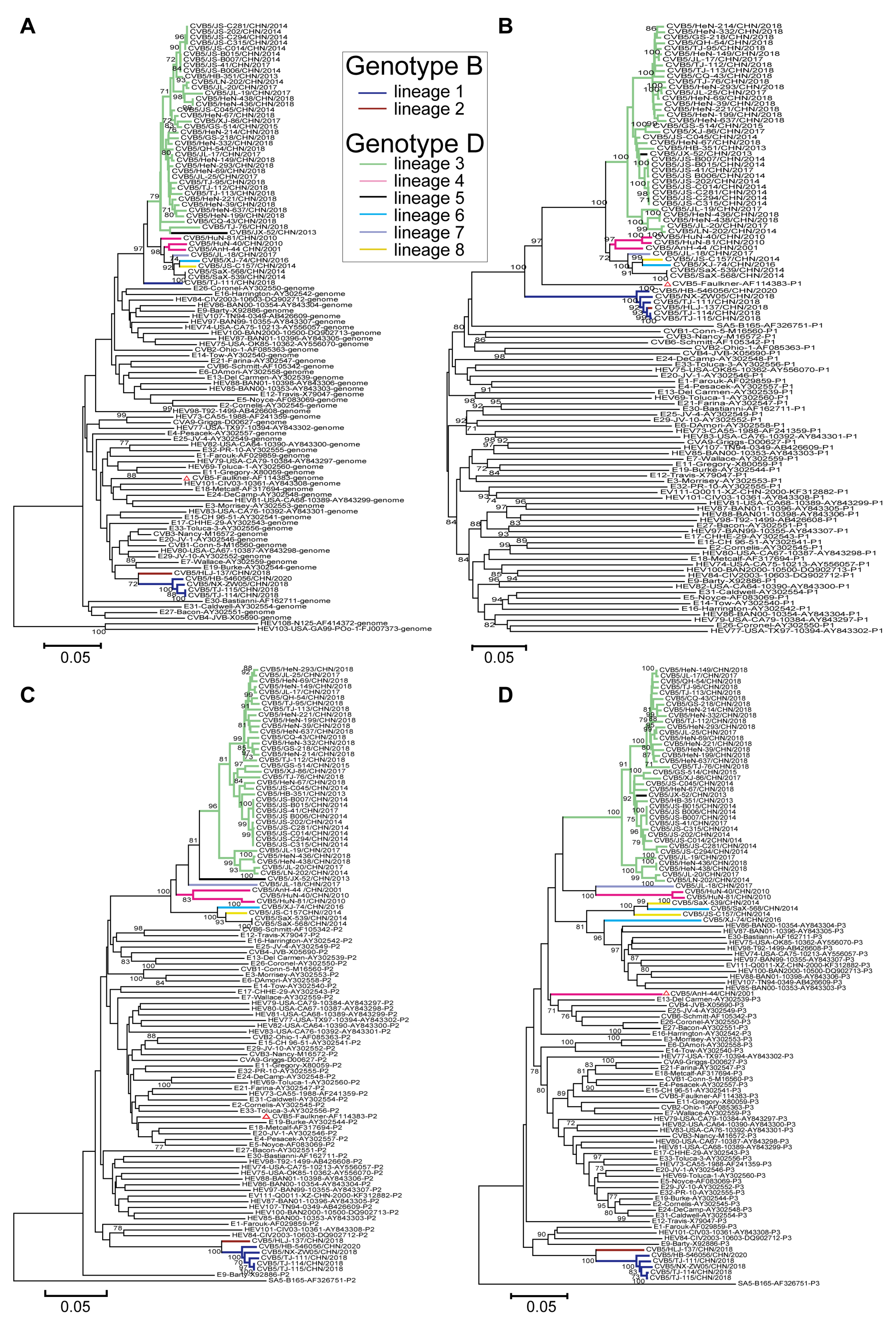 Viruses 14 02693 g004 Viruses 14 02693 g004