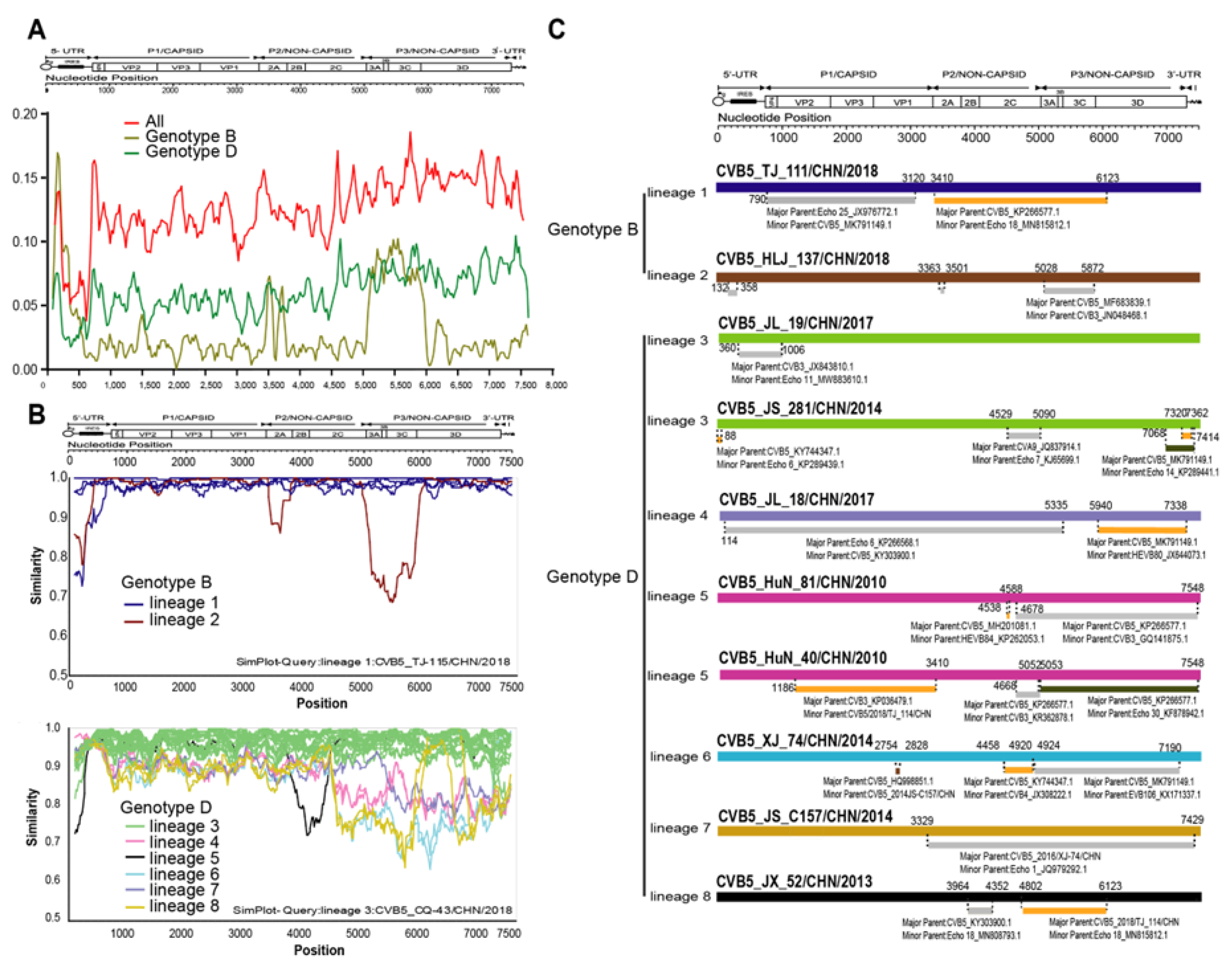 Viruses 14 02693 g005 Viruses 14 02693 g005