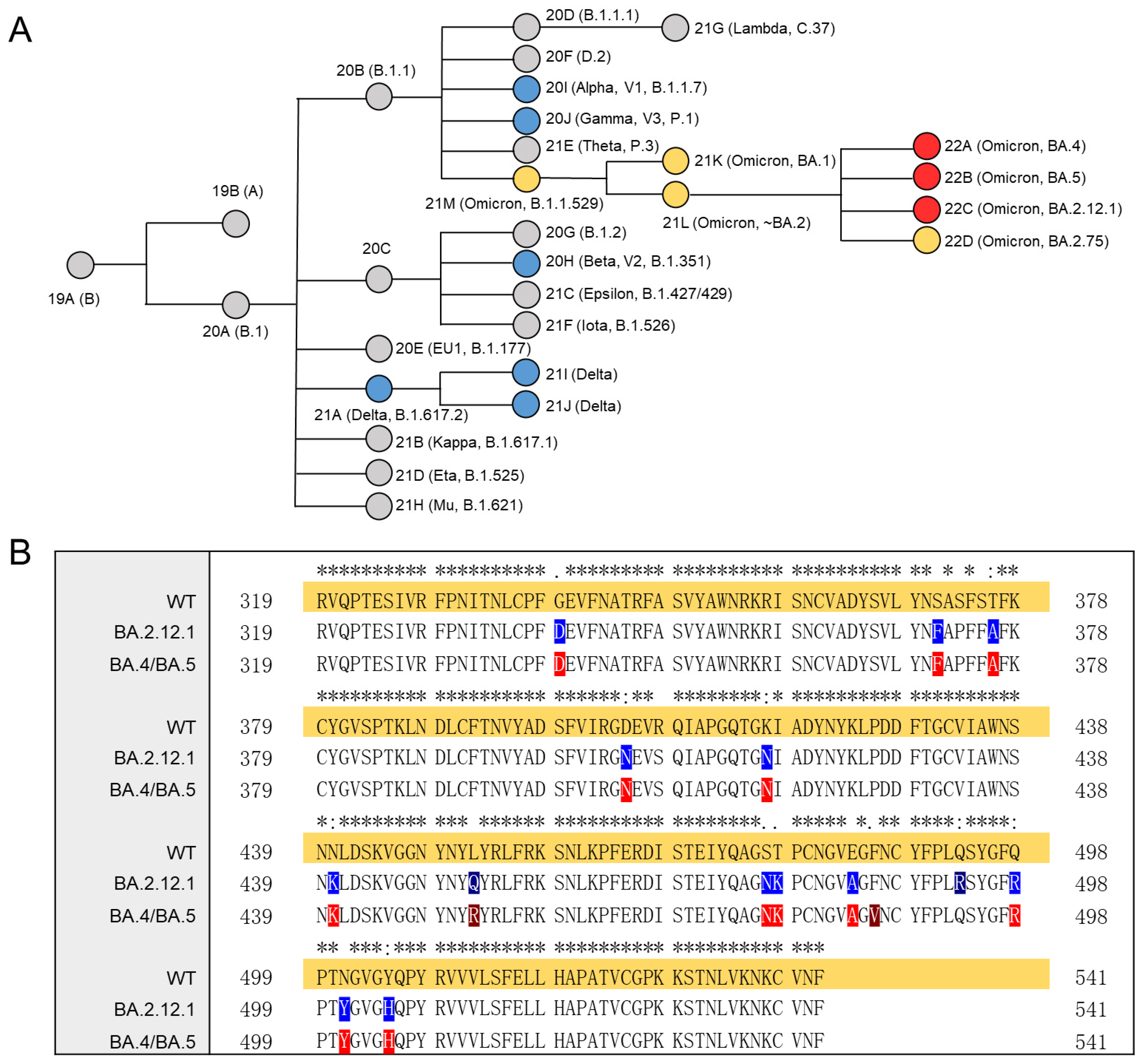 Viruses 14 02696 g001 Viruses 14 02696 g001