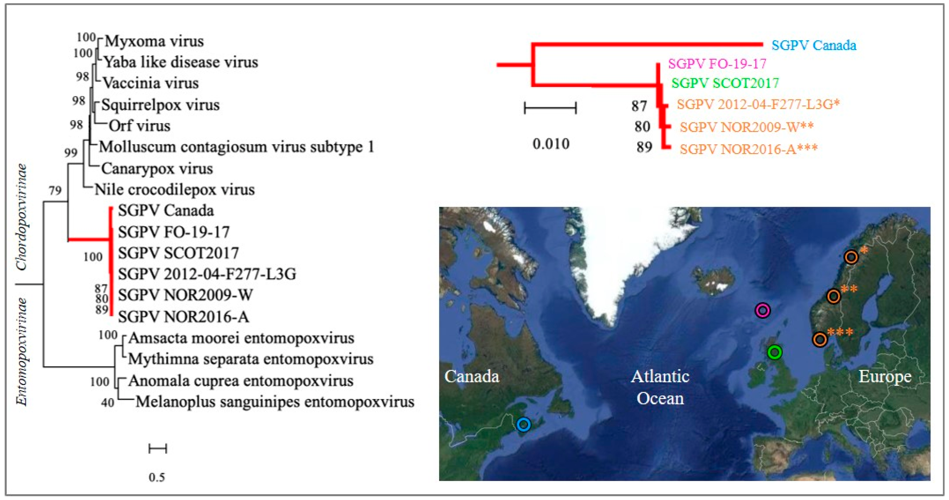 Viruses 14 02701 g006 Viruses 14 02701 g006