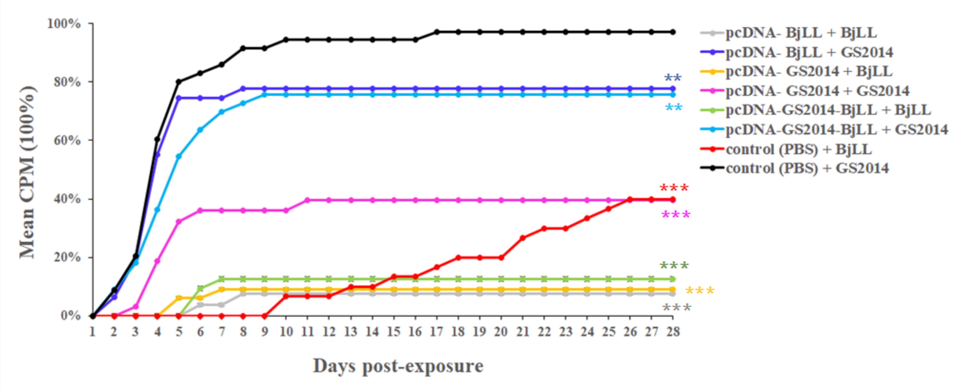Viruses 14 02707 g007