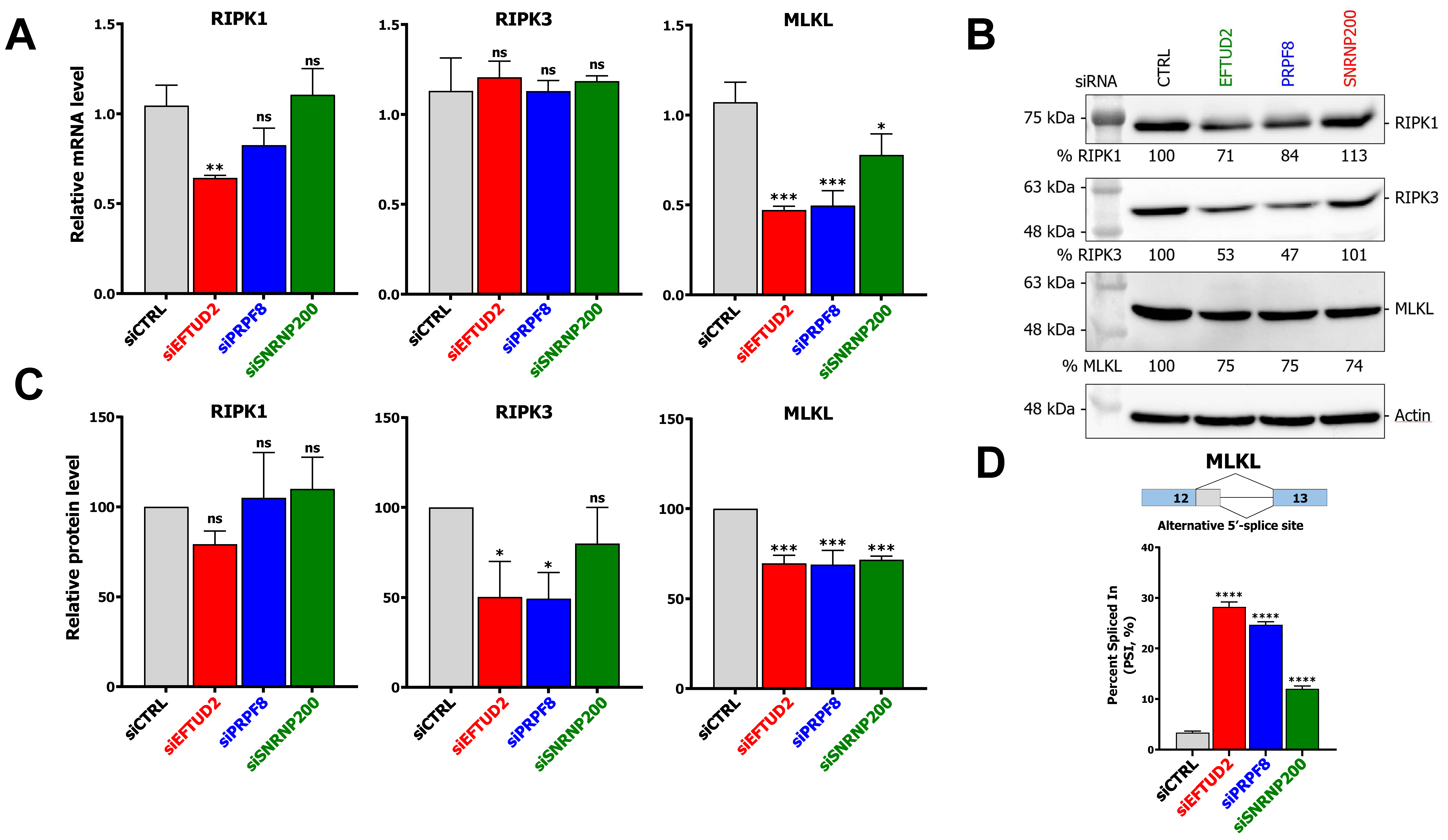 Viruses 14 02710 g004 Viruses 14 02710 g004