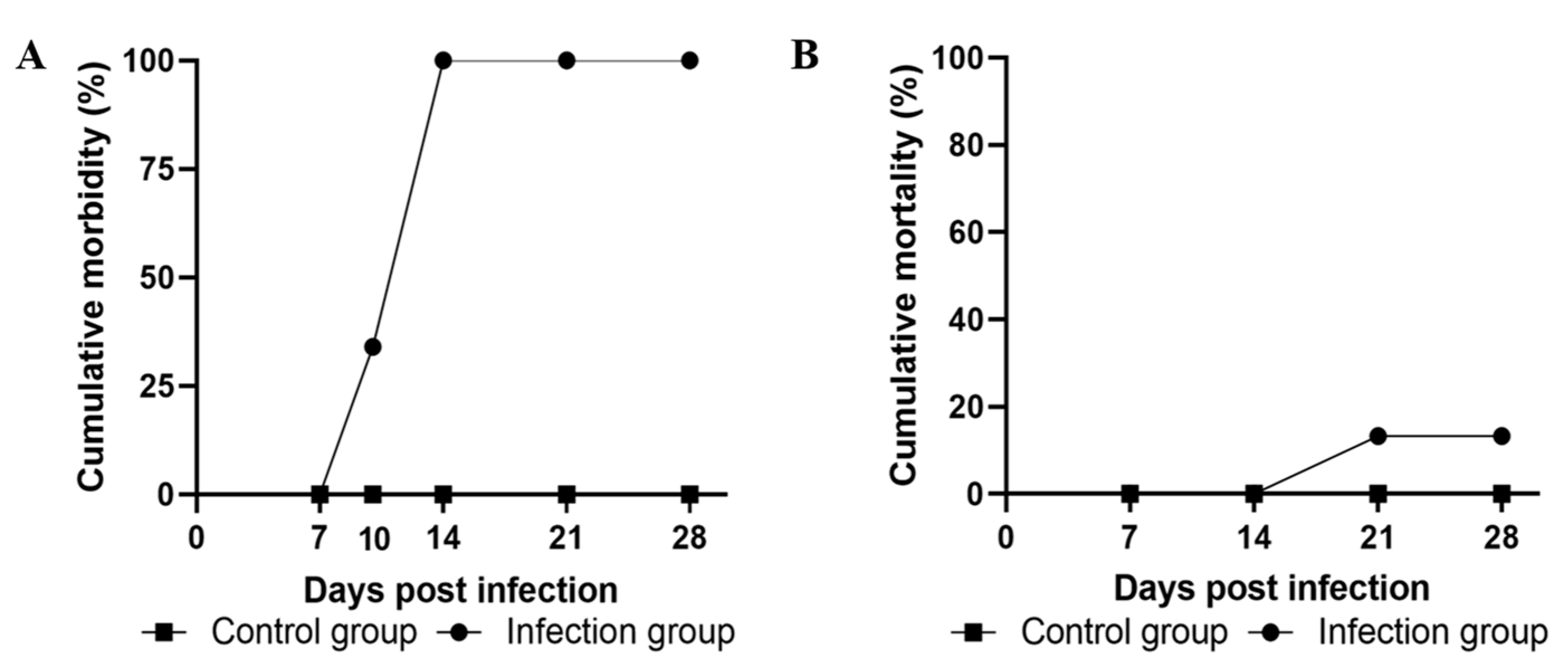 Viruses 14 02722 g003