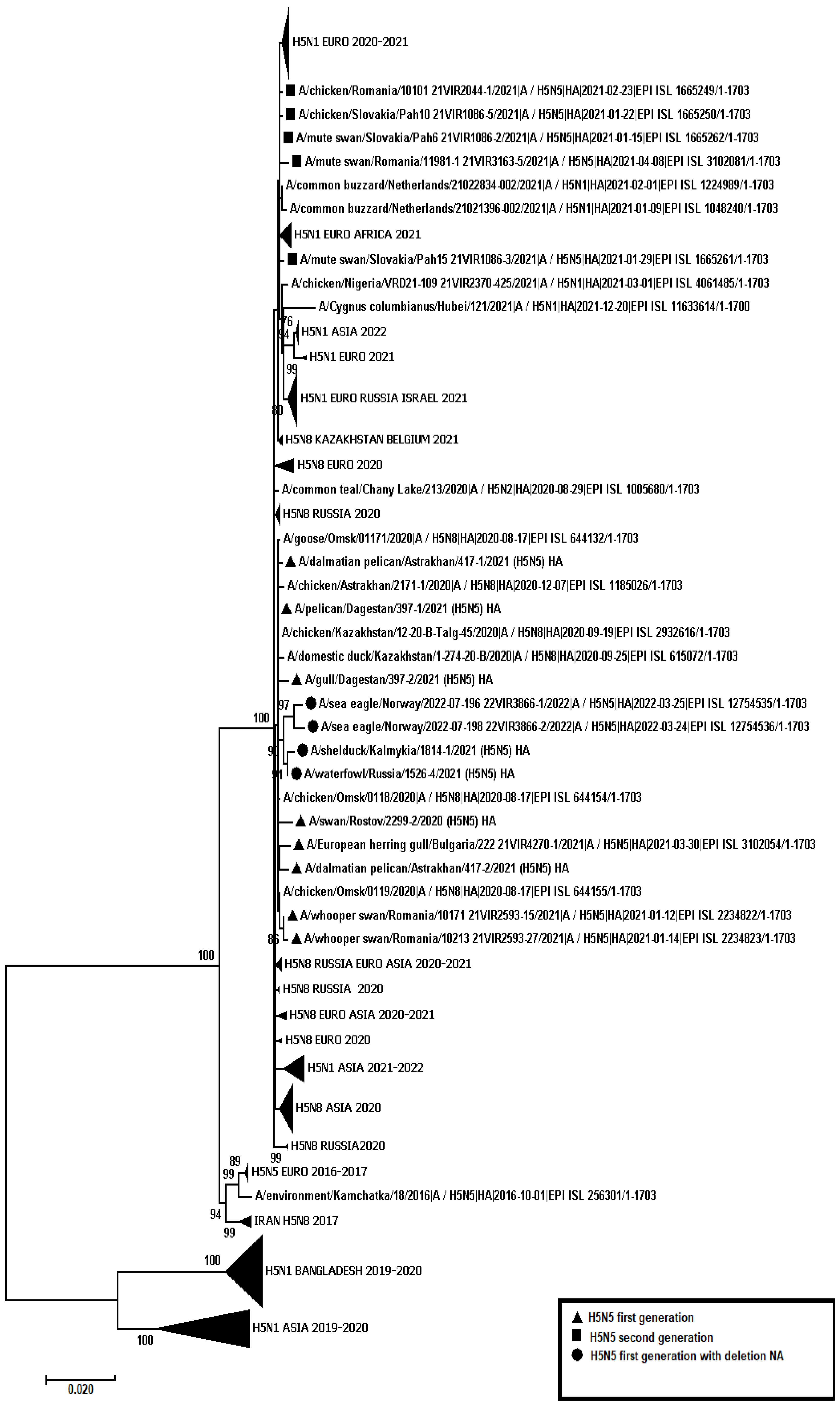 Viruses 14 02725 g001