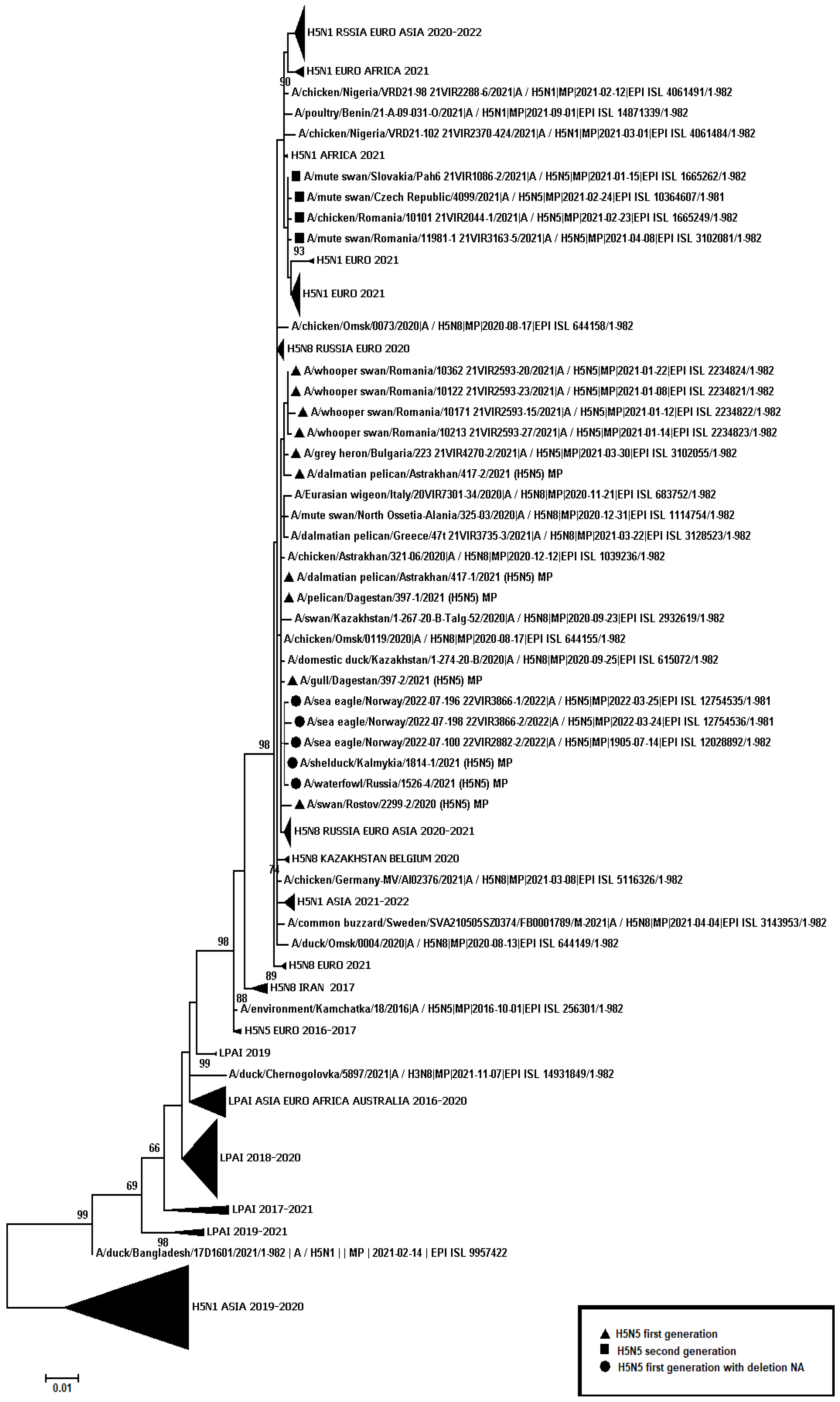 Viruses 14 02725 g002
