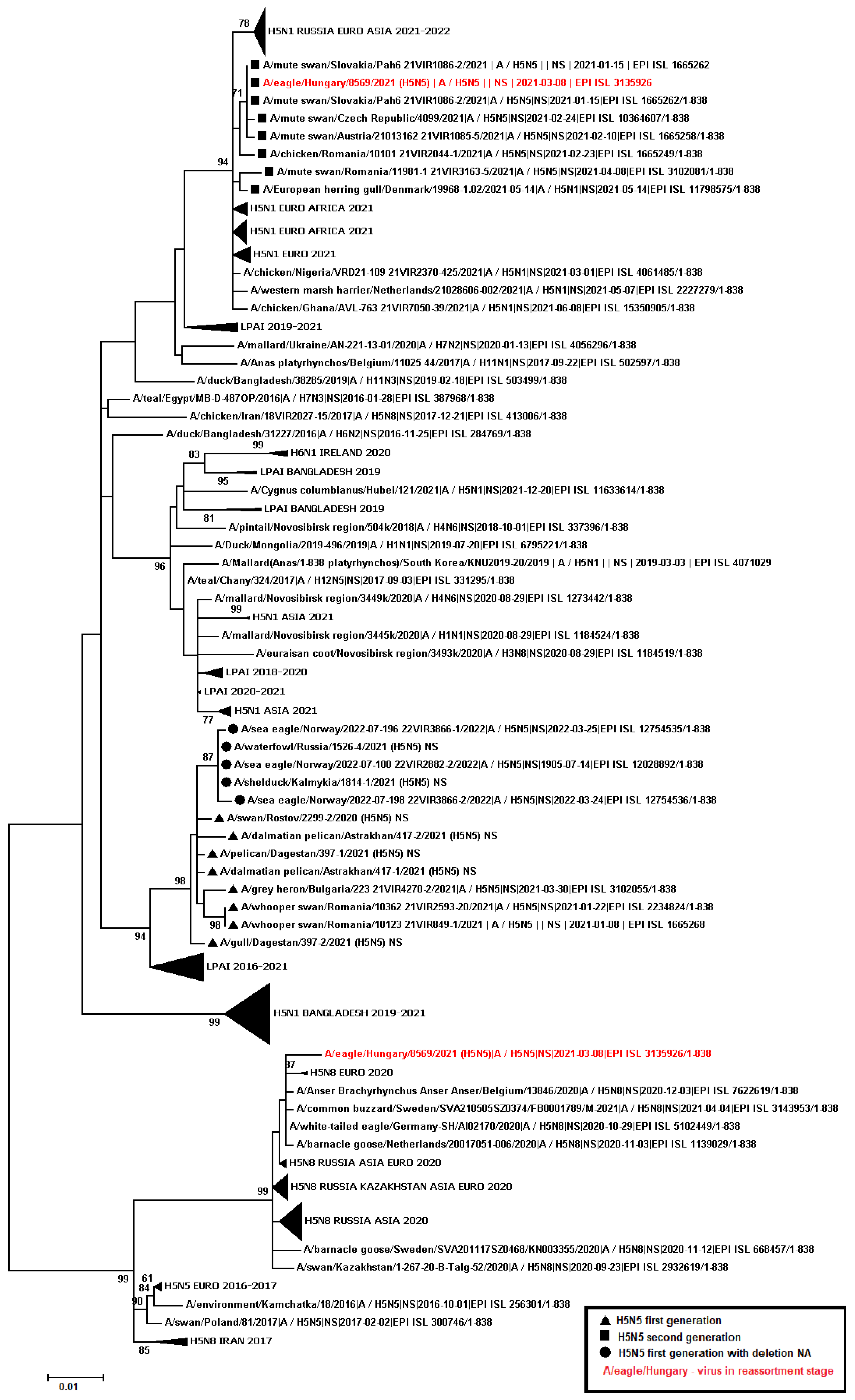 Viruses 14 02725 g003