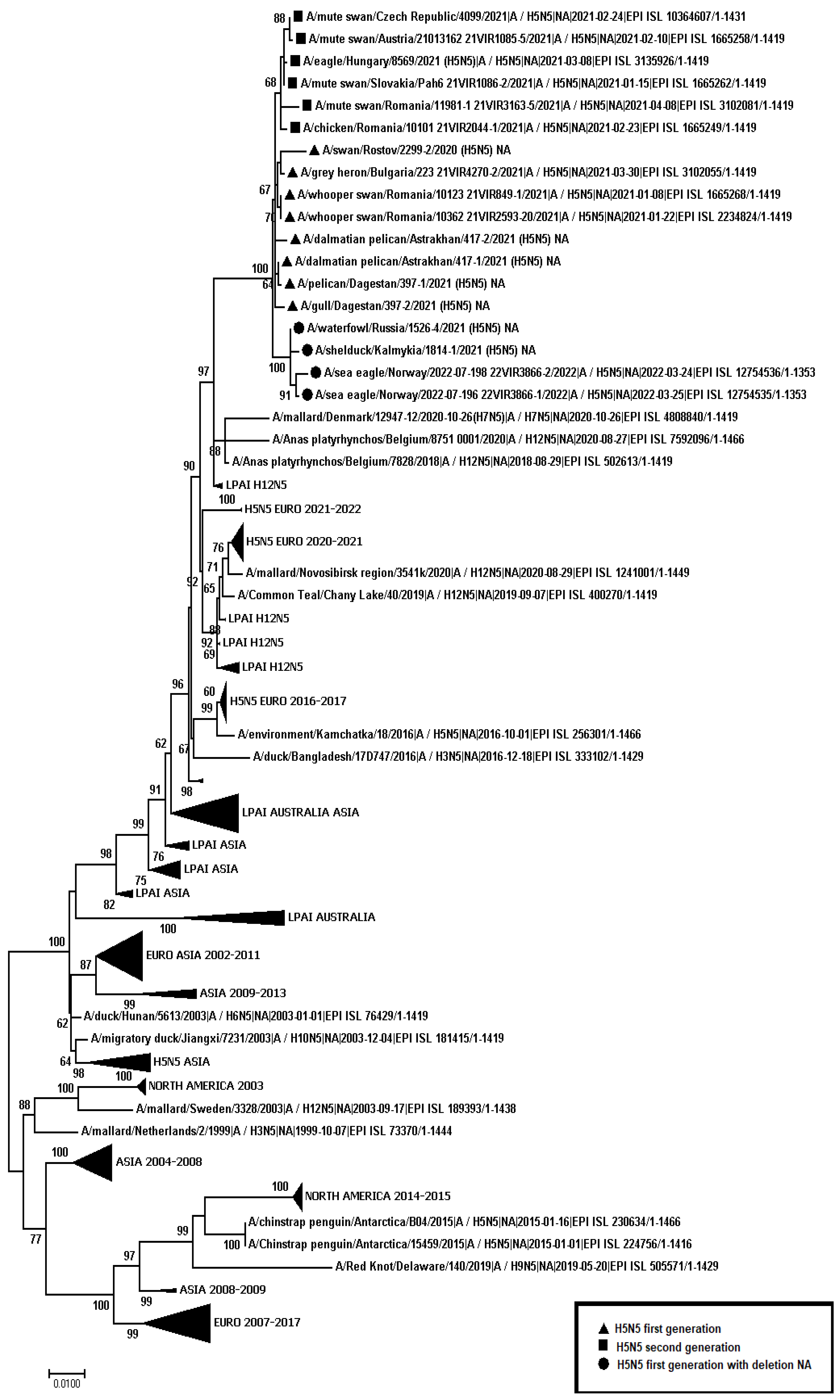 Viruses 14 02725 g004