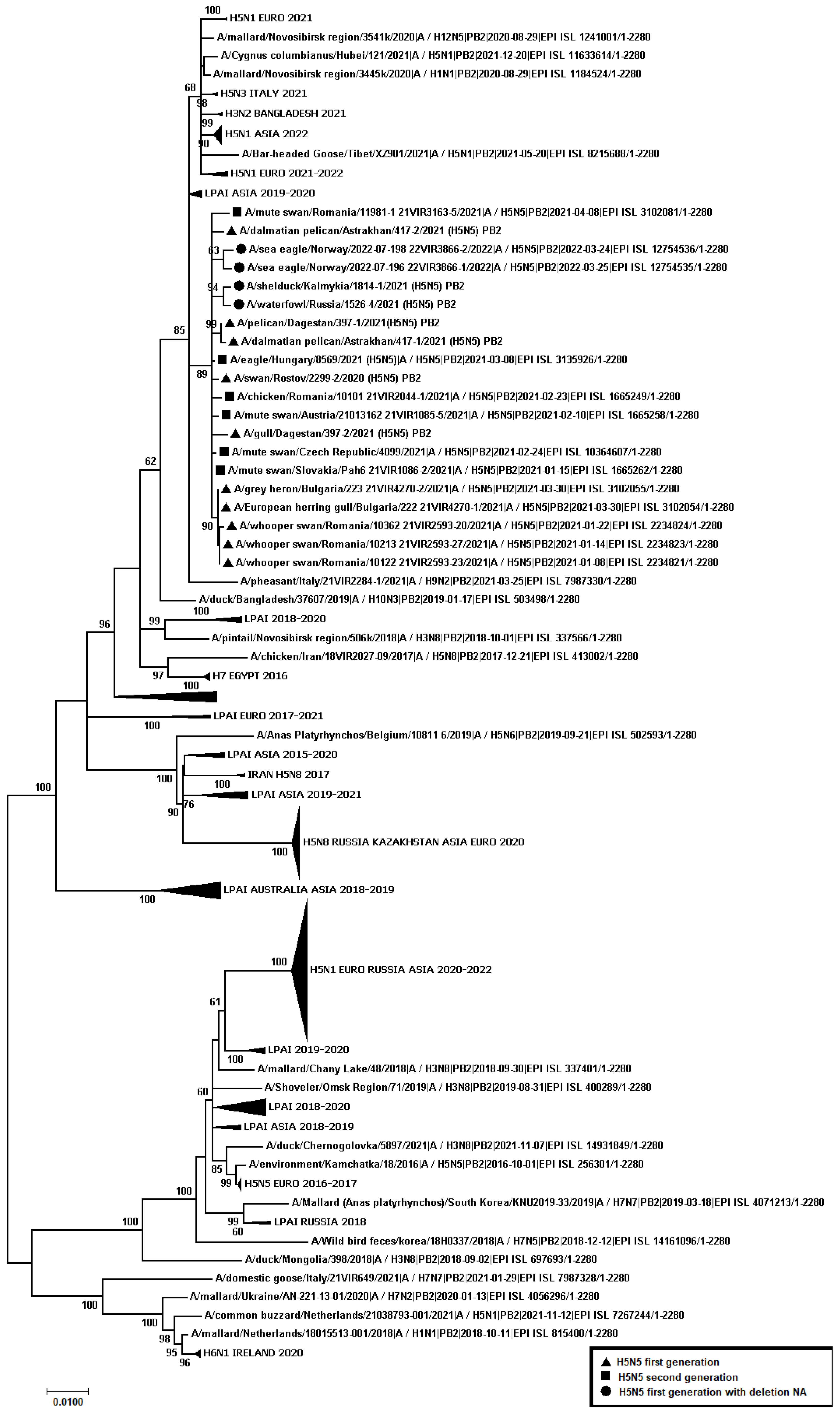 Viruses 14 02725 g005