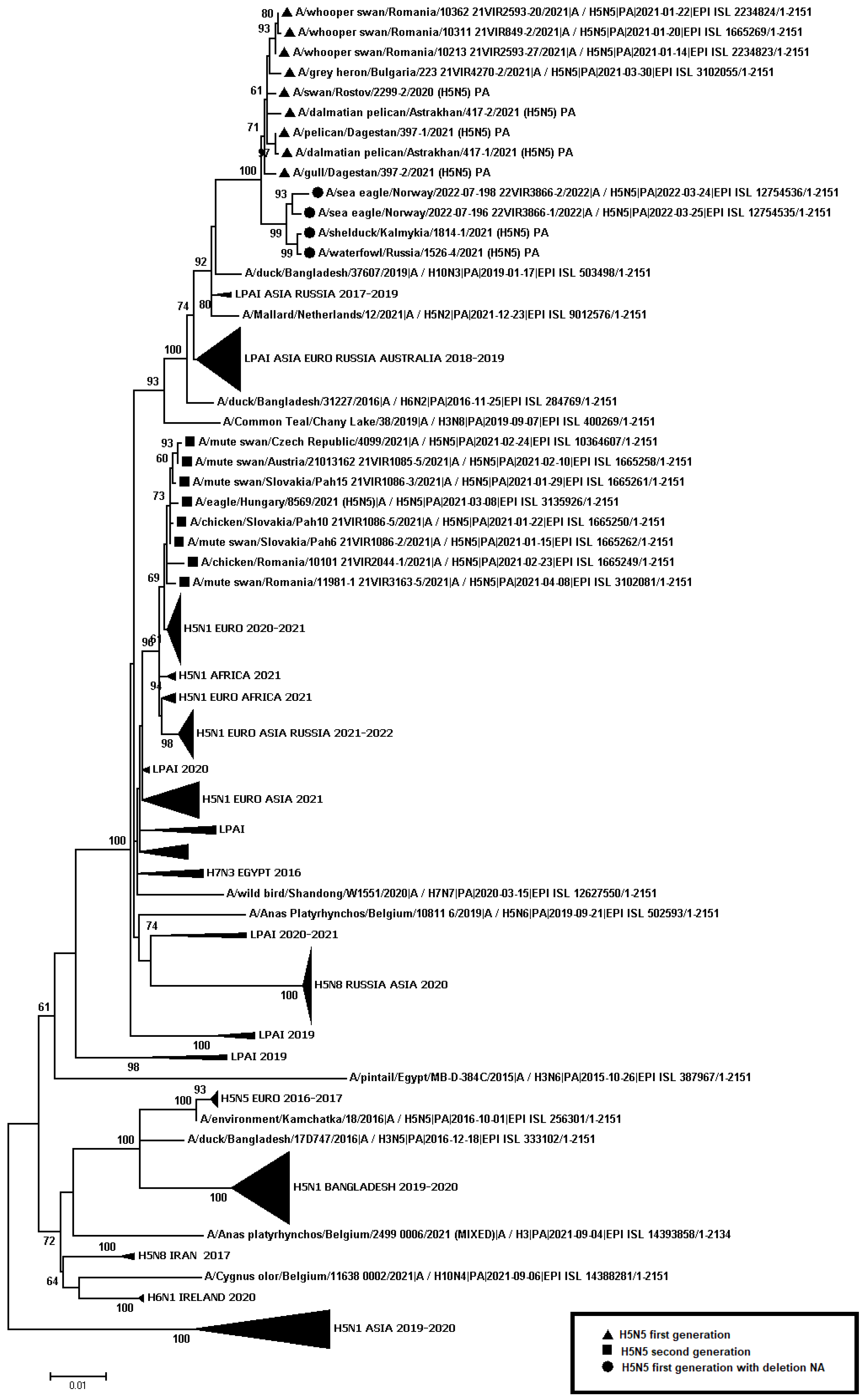 Viruses 14 02725 g006