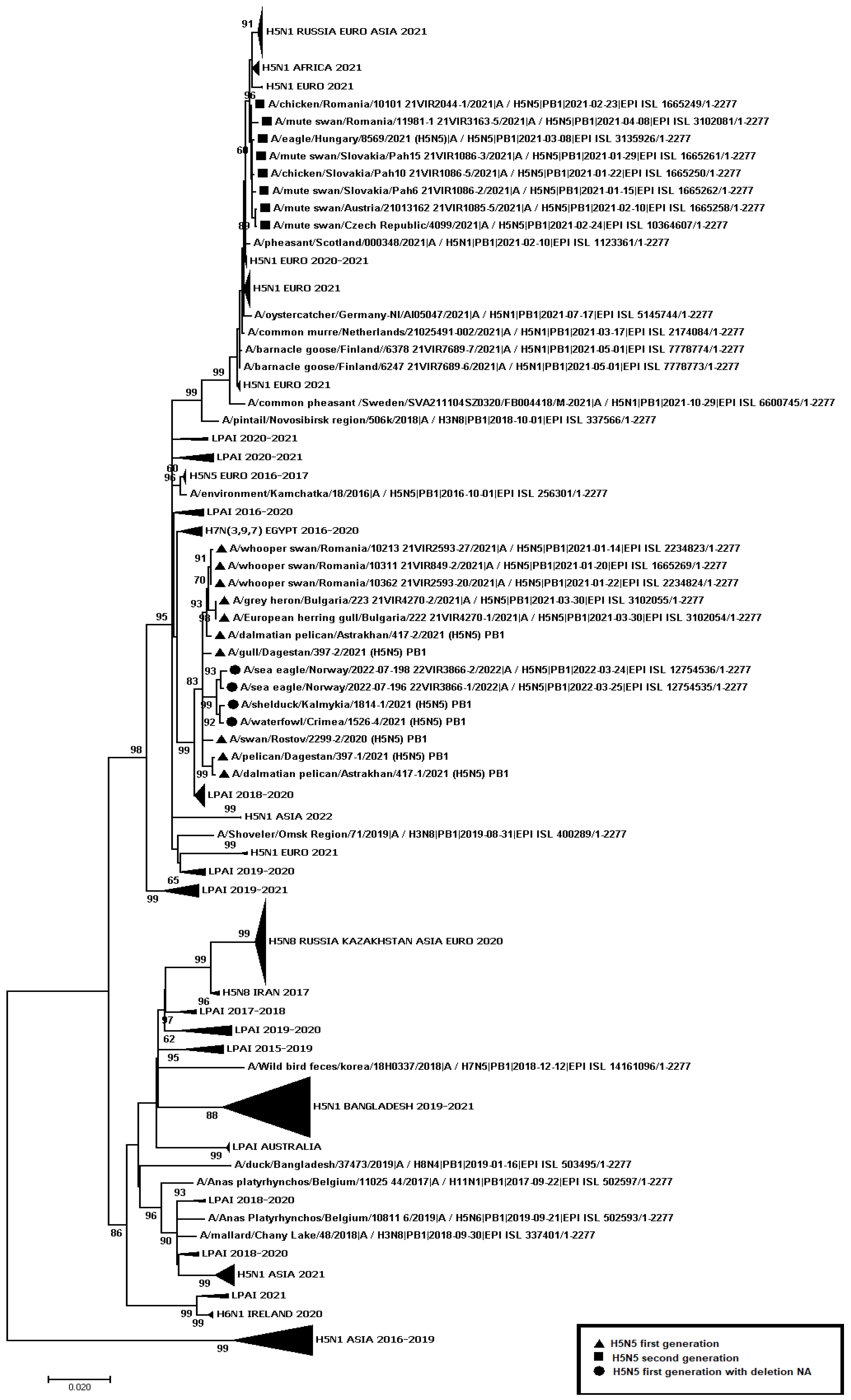 Viruses 14 02725 g007
