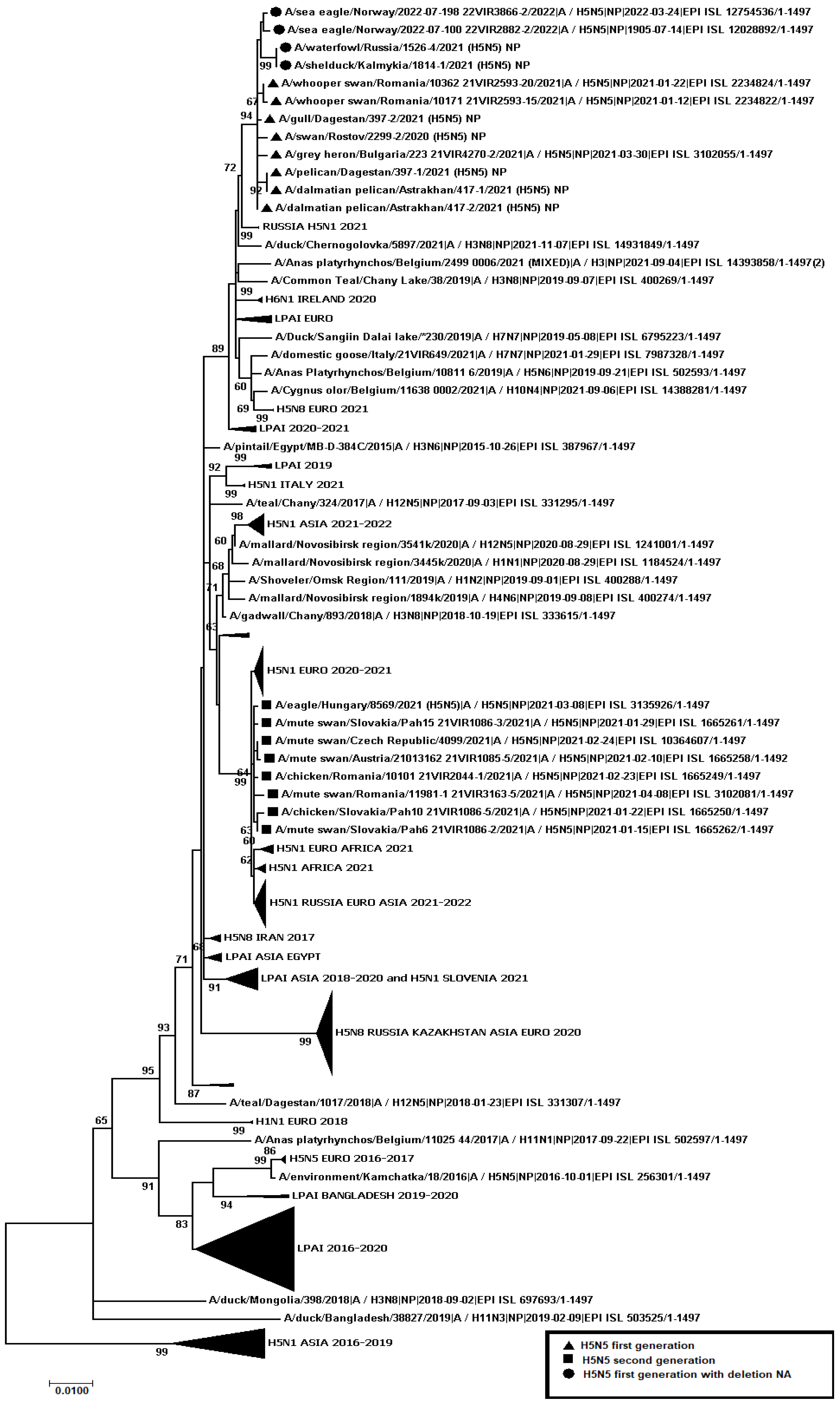 Viruses 14 02725 g008