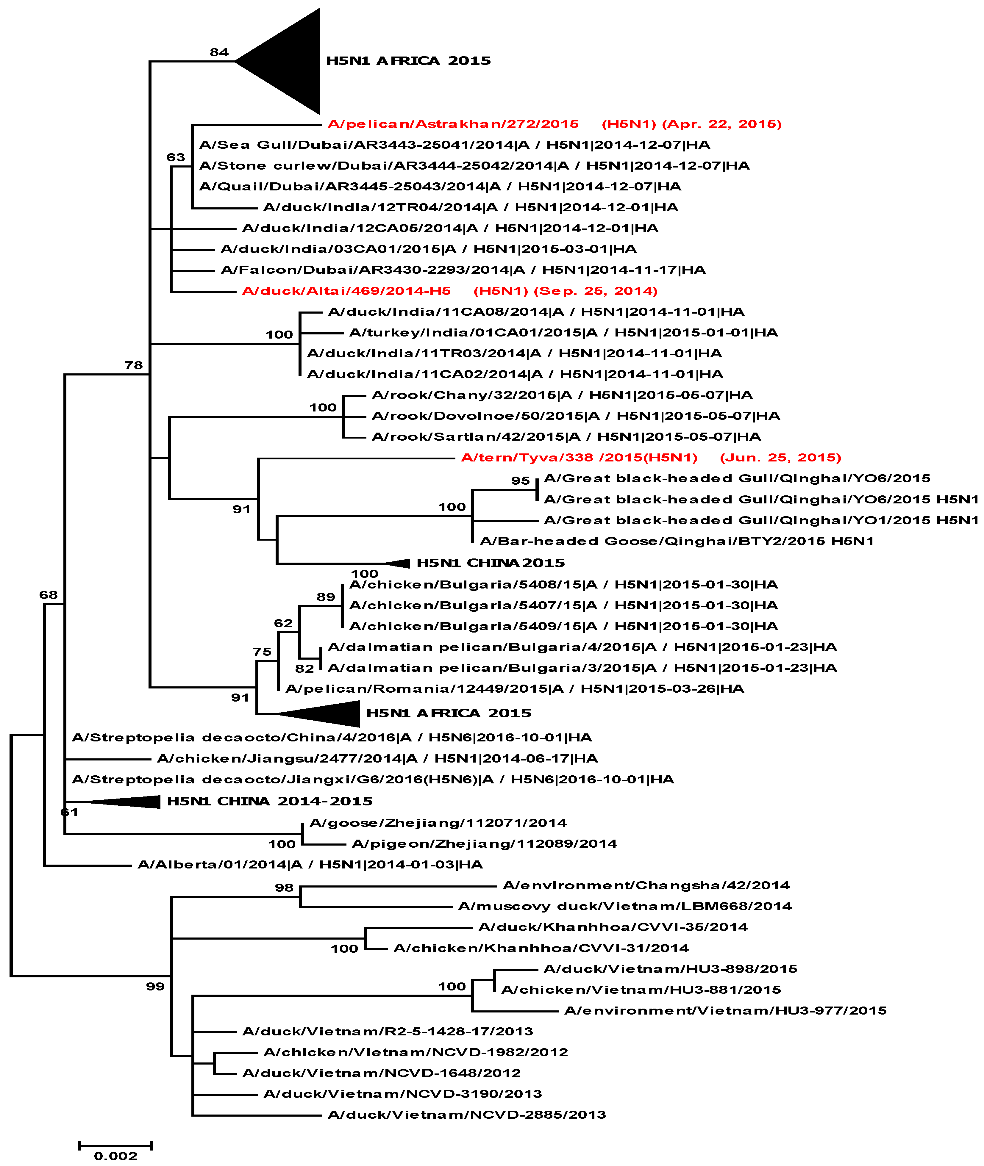 Viruses 14 02725 g009