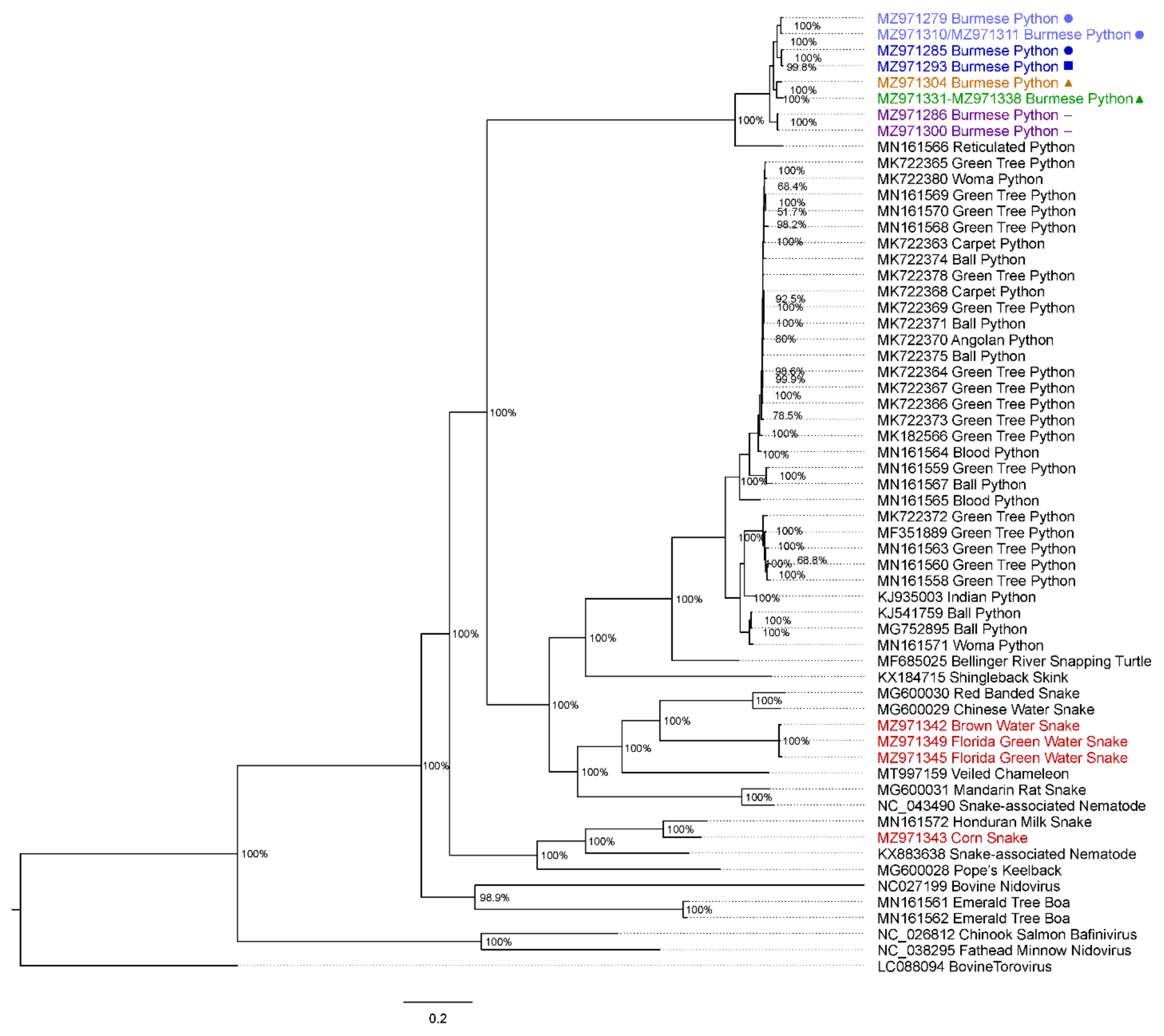 Viruses 14 02726 g003