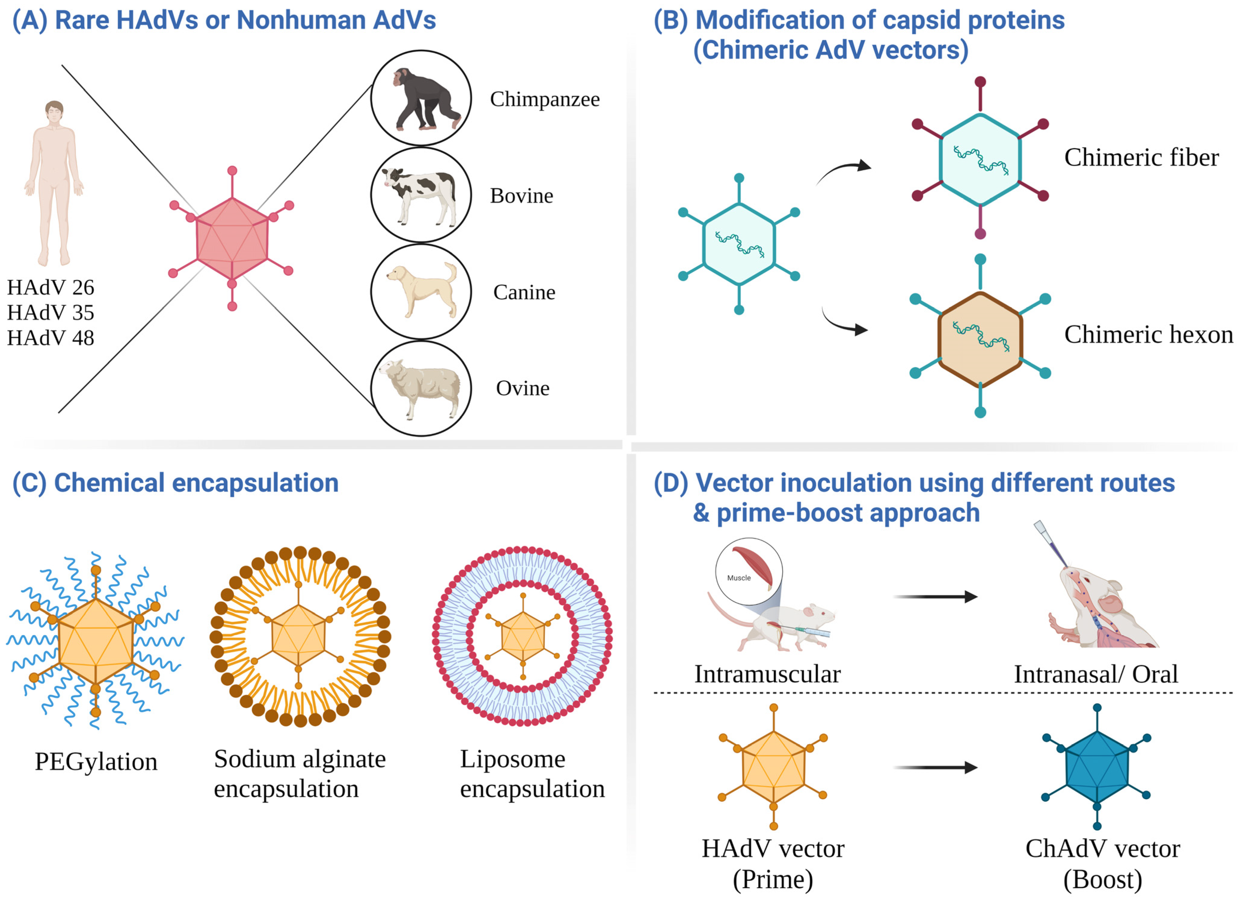 Viruses 14 02727 g004