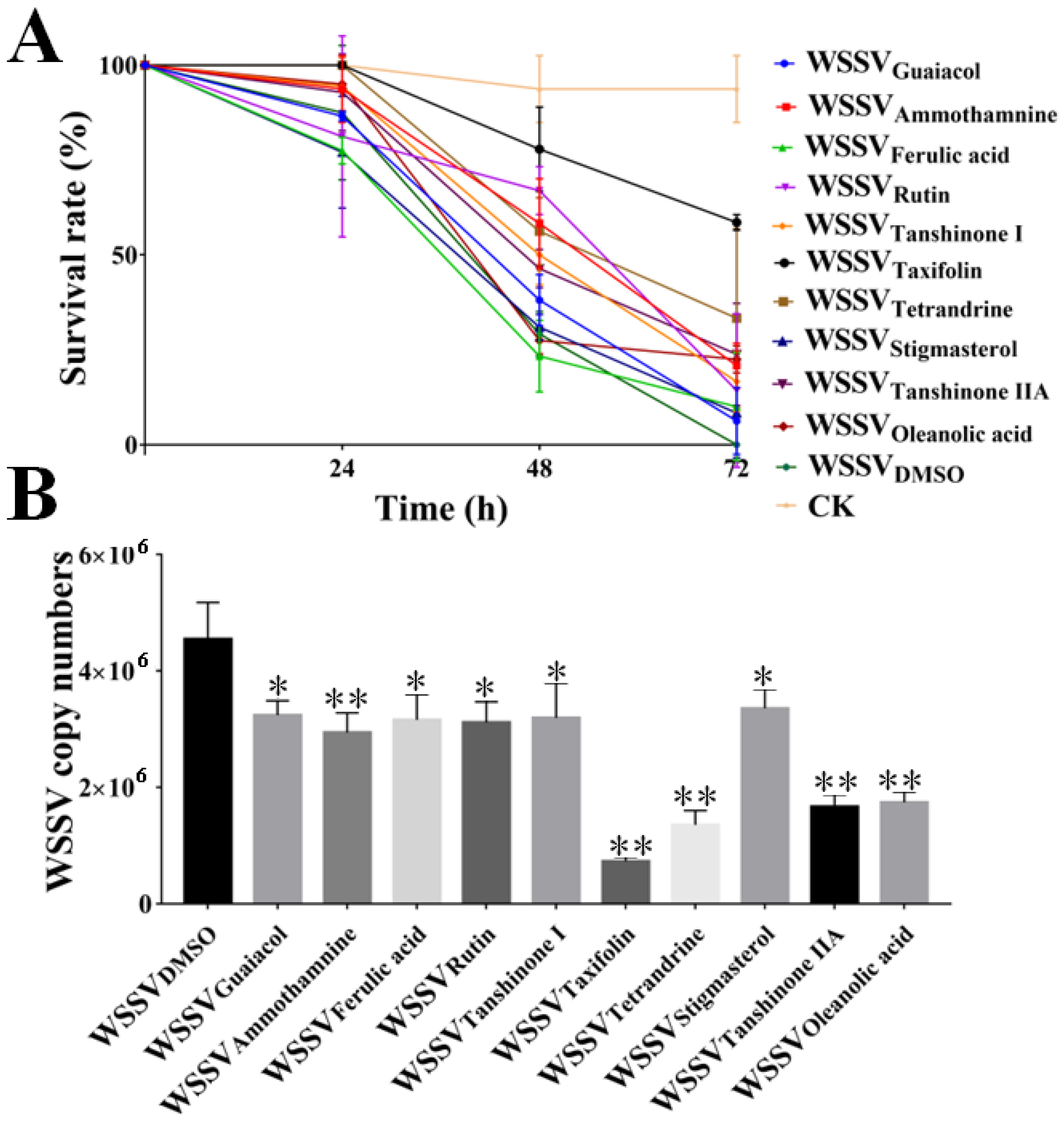 Viruses 14 02731 g002 Viruses 14 02731 g002