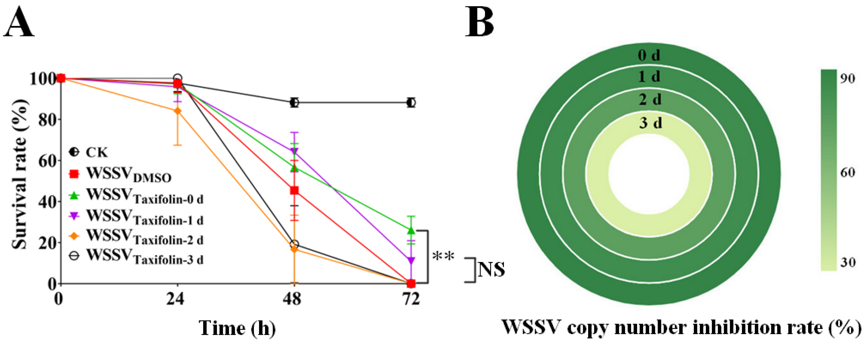 Viruses 14 02731 g004 Viruses 14 02731 g004
