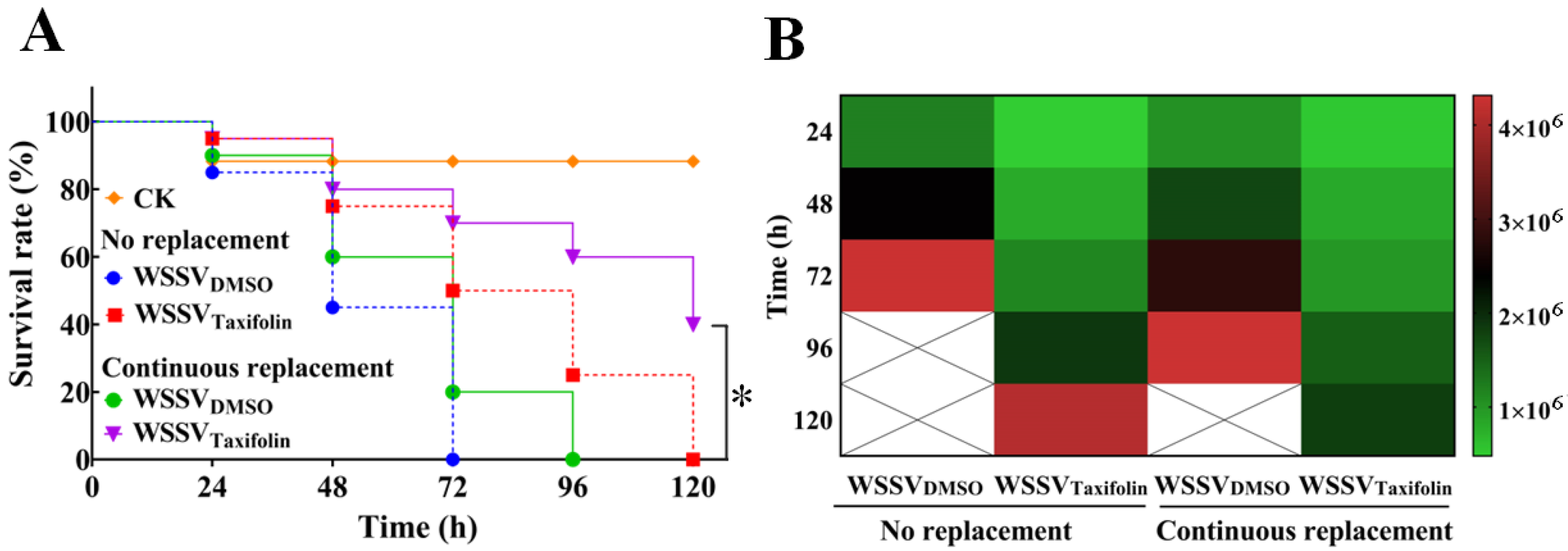 Viruses 14 02731 g005 Viruses 14 02731 g005