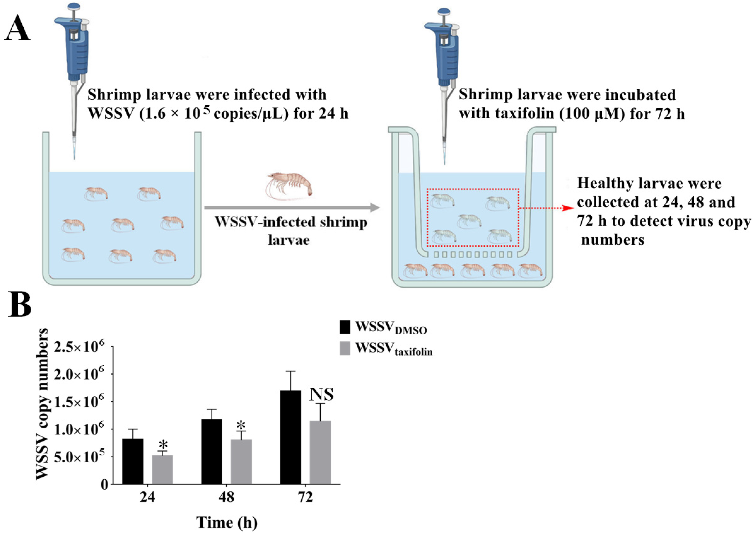 Viruses 14 02731 g006 Viruses 14 02731 g006