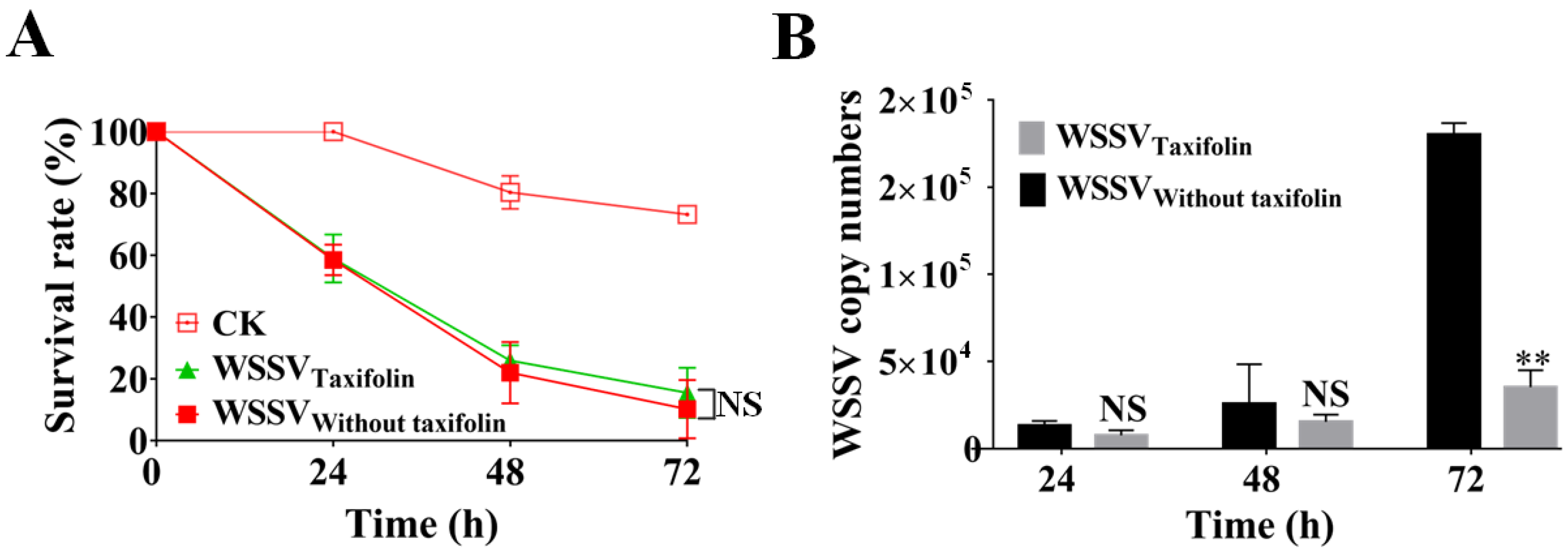 Viruses 14 02731 g008 Viruses 14 02731 g008