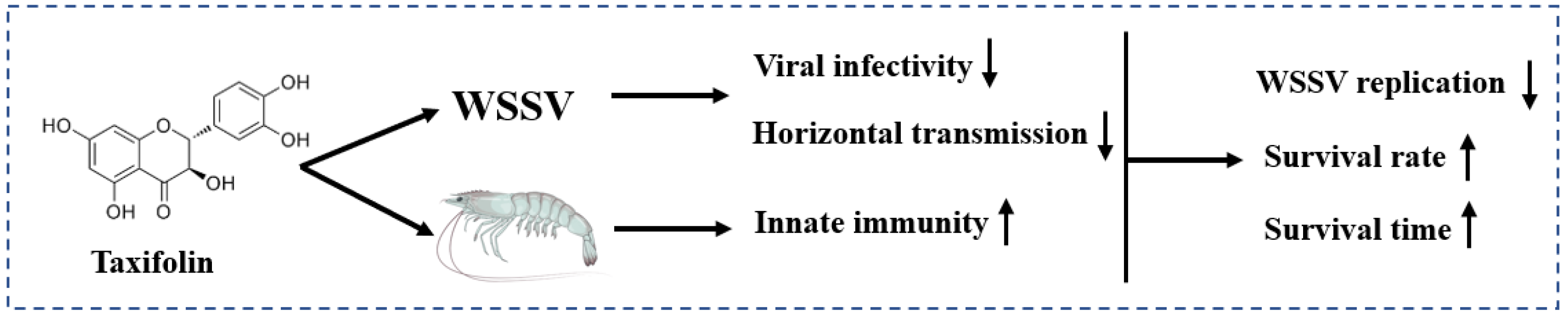 Viruses 14 02731 g009 Viruses 14 02731 g009