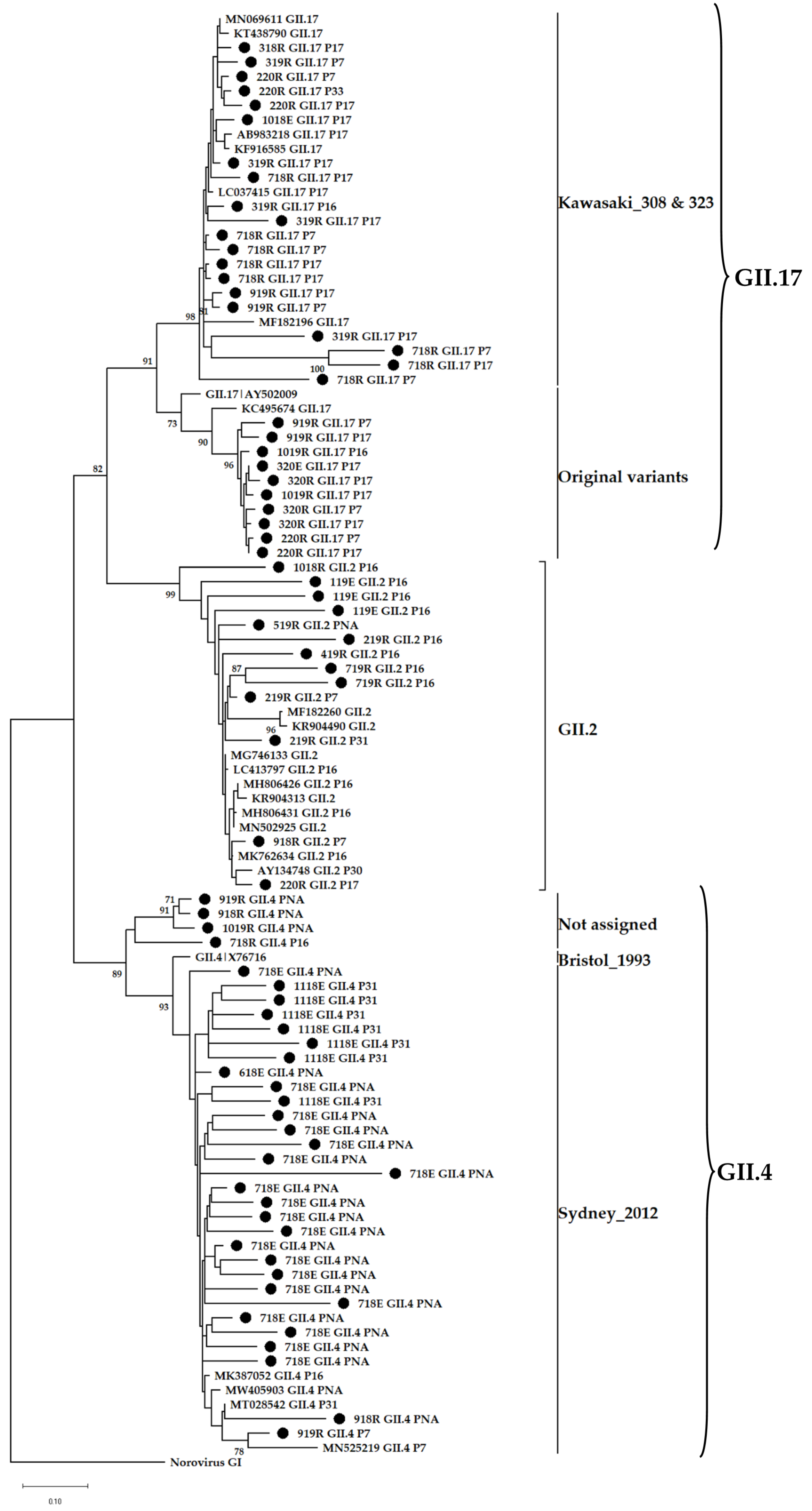 Viruses 14 02732 g008