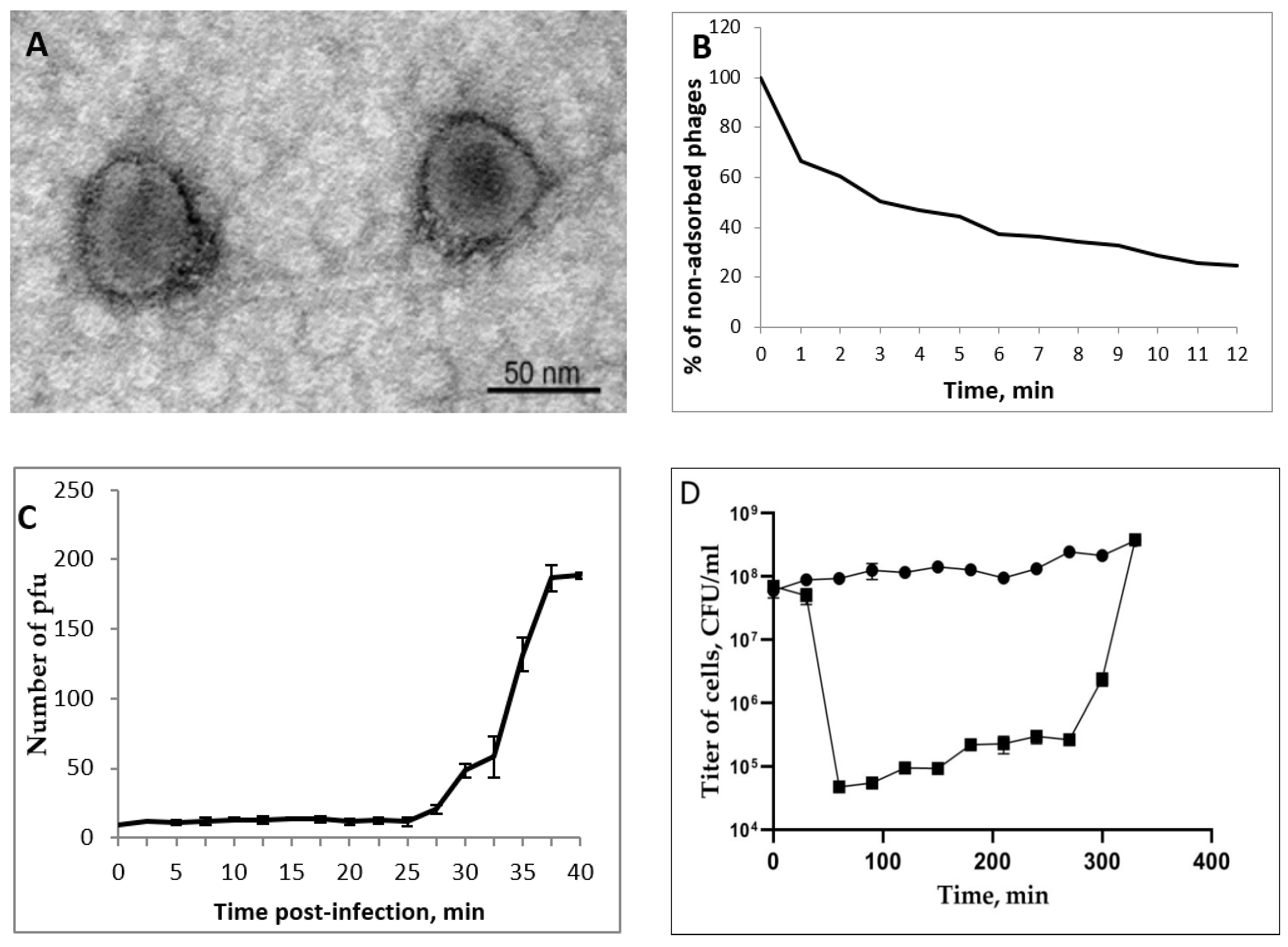 Viruses 14 02733 g001