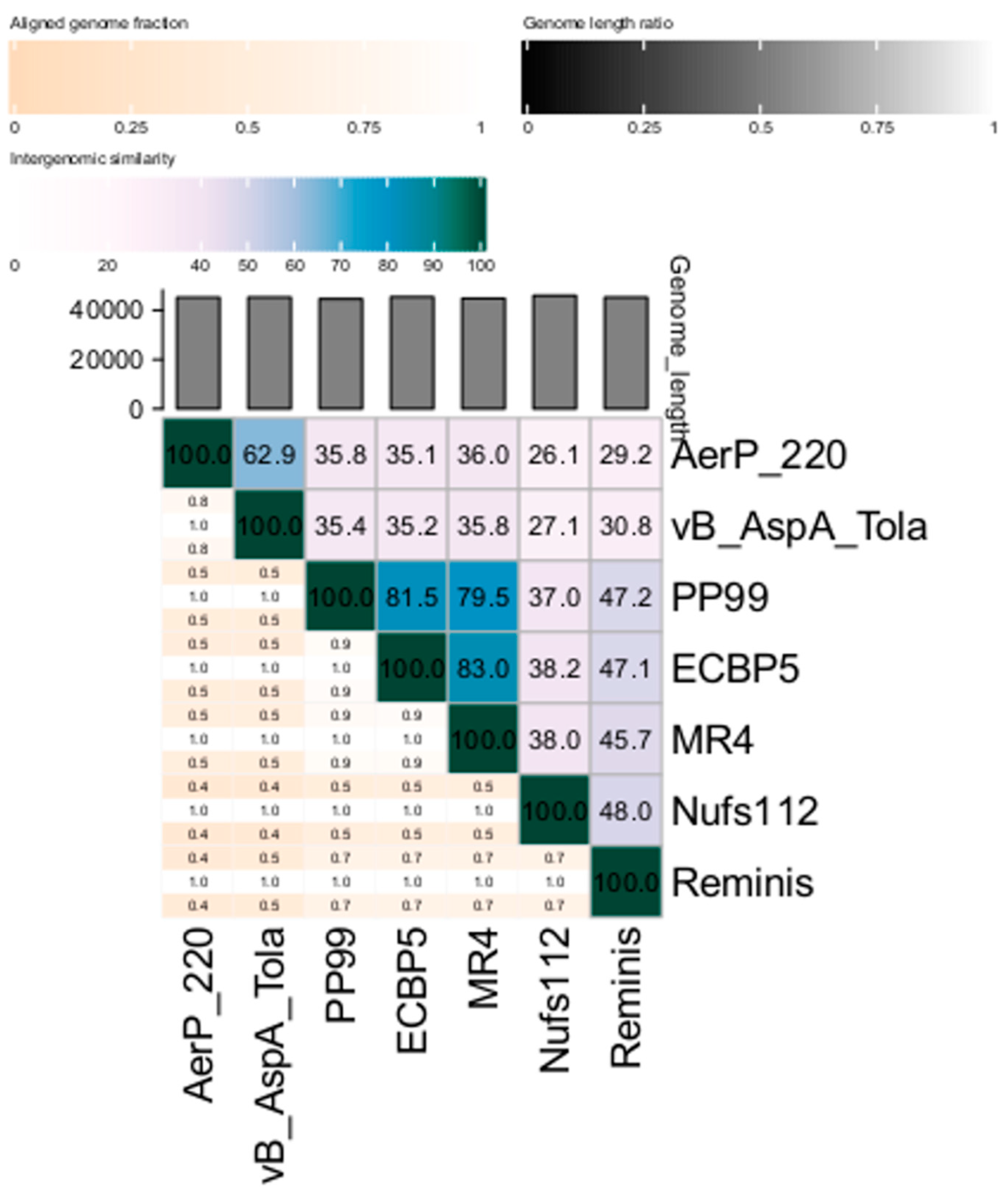 Viruses 14 02733 g004