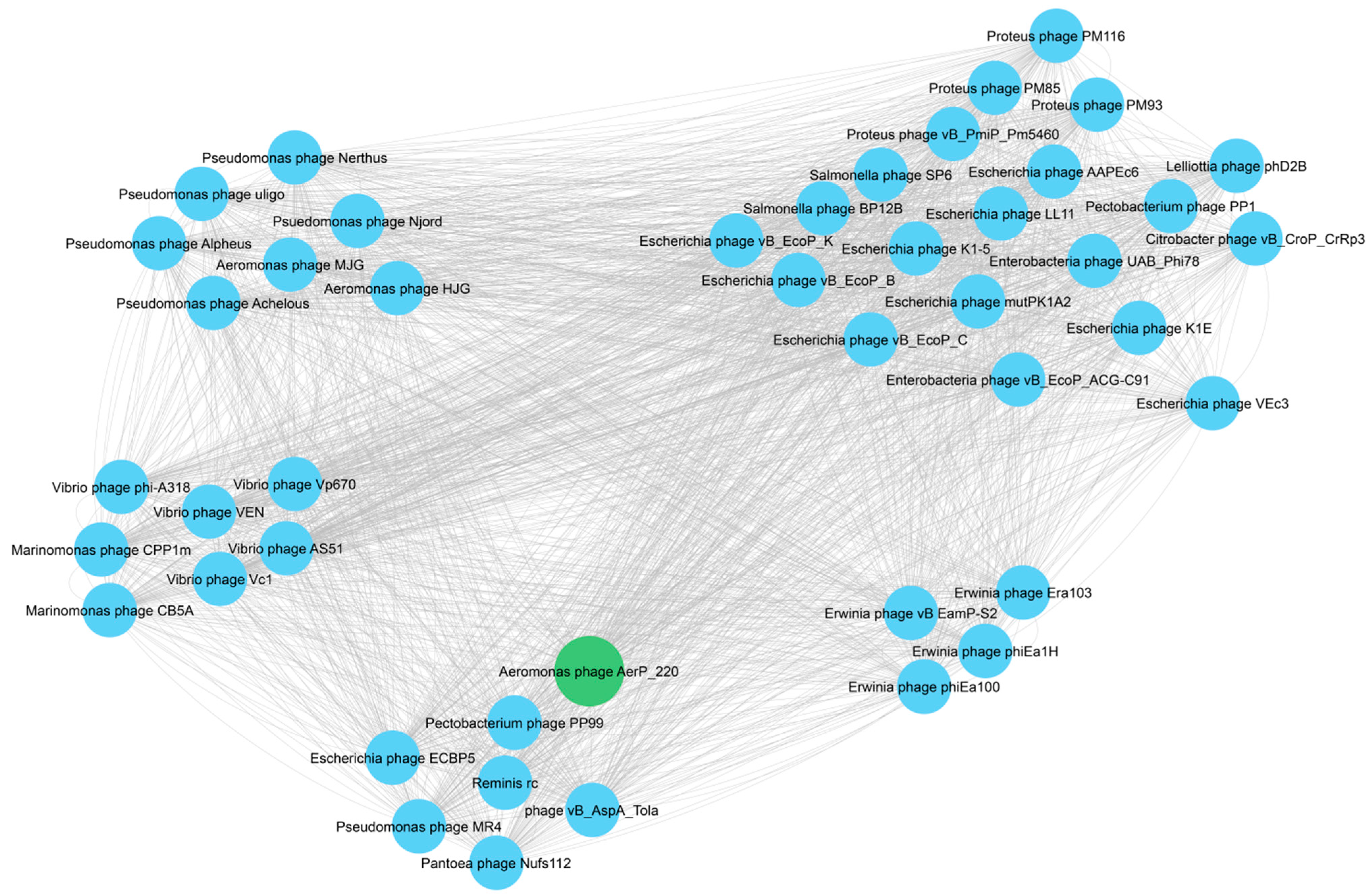 Viruses 14 02733 g005