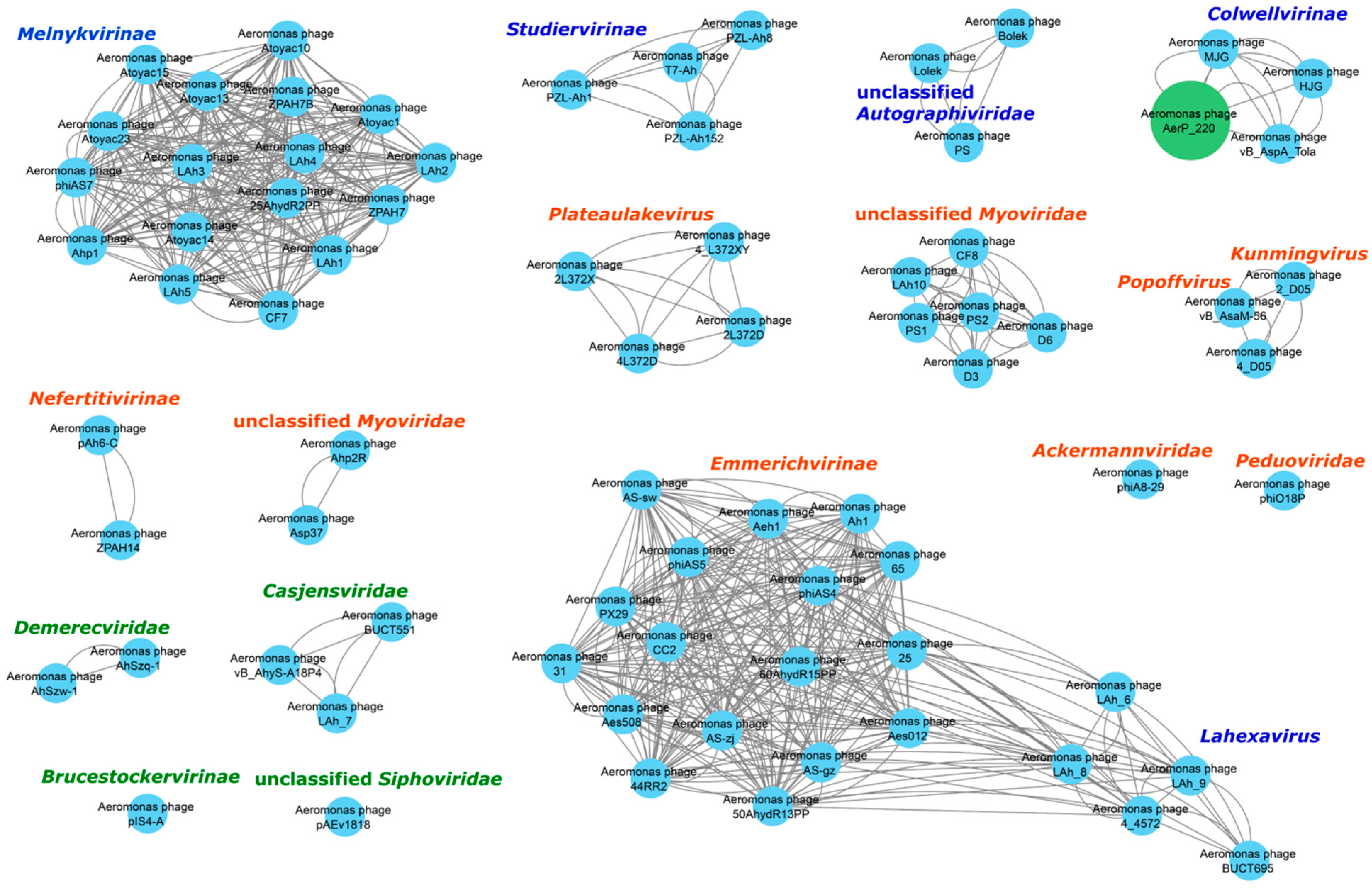 Viruses 14 02733 g006