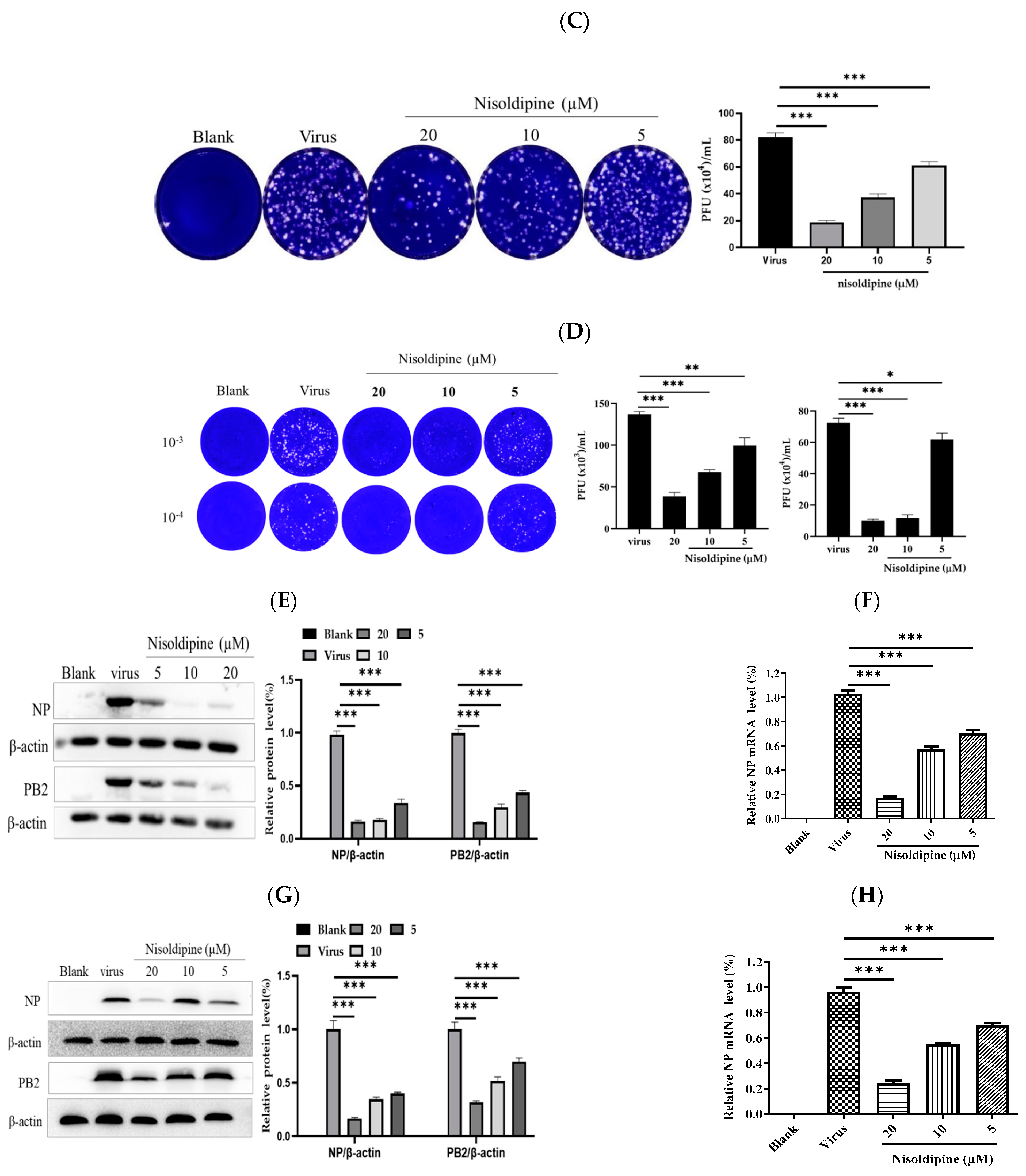 Viruses 14 02738 g001b Viruses 14 02738 g001b