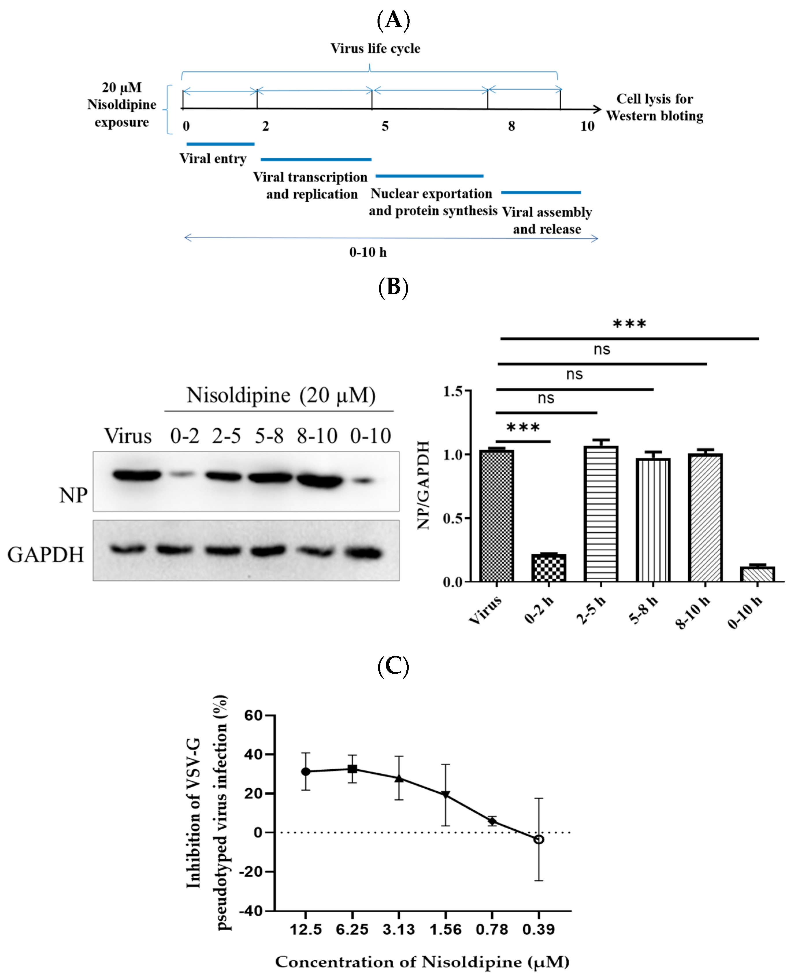 Viruses 14 02738 g002 Viruses 14 02738 g002