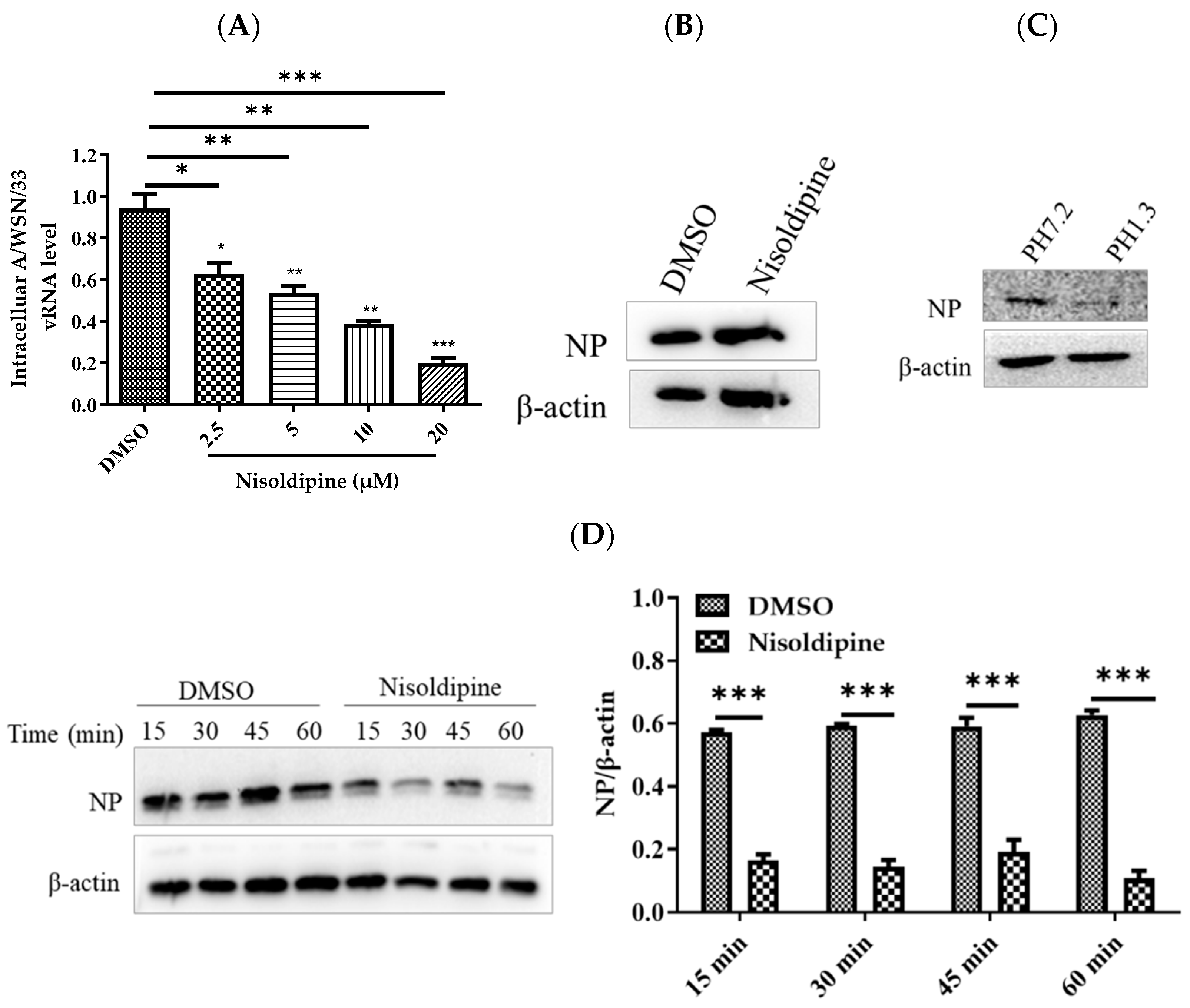 Viruses 14 02738 g003 Viruses 14 02738 g003