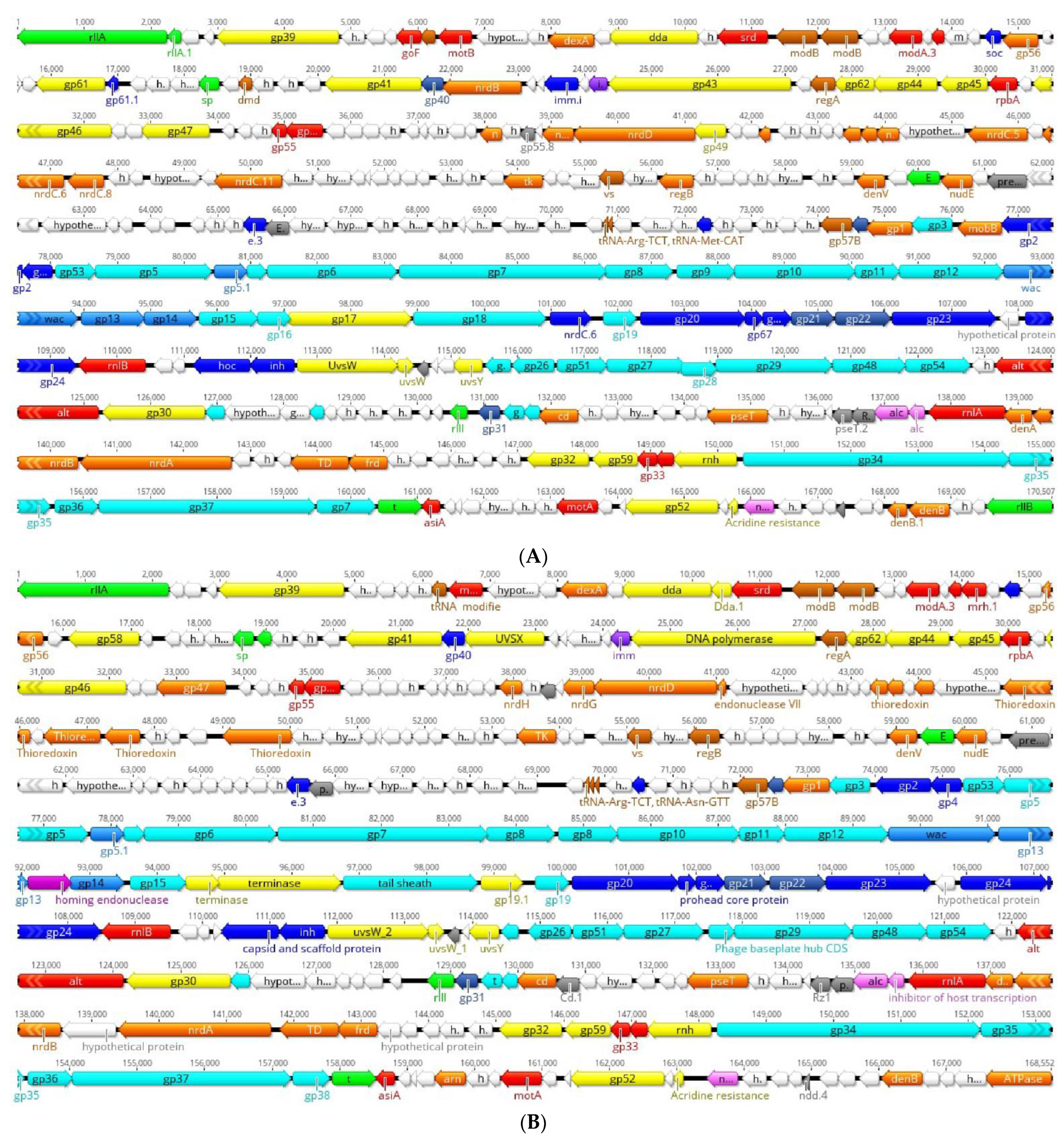 Viruses 14 02740 g002 Viruses 14 02740 g002