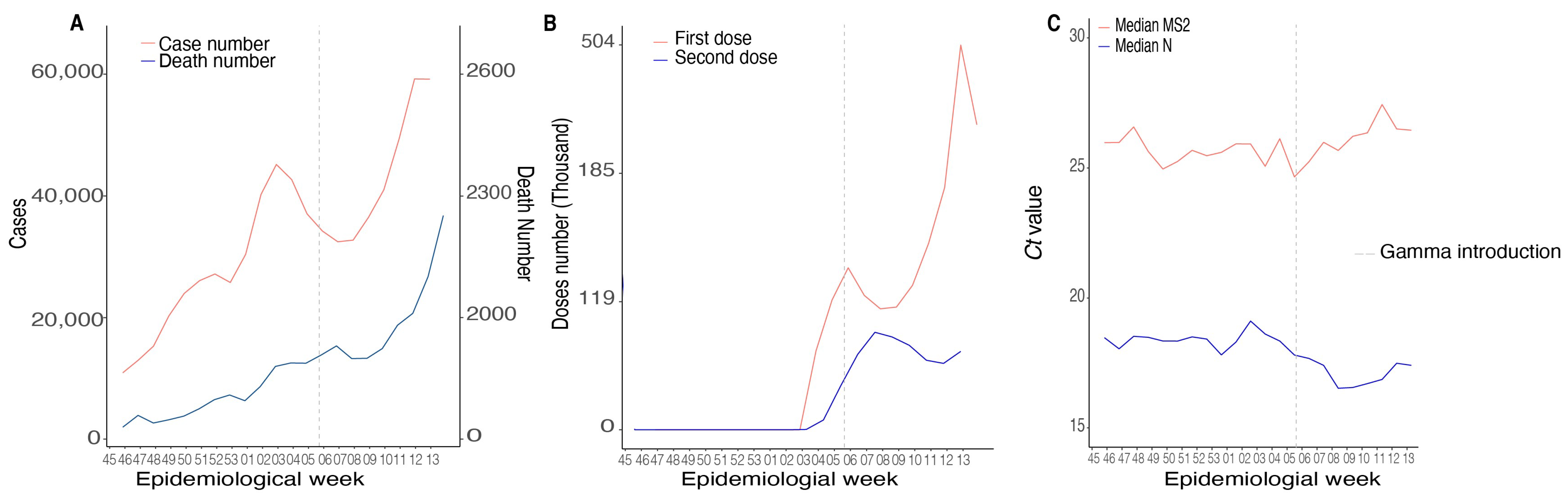 Viruses 14 02747 g002