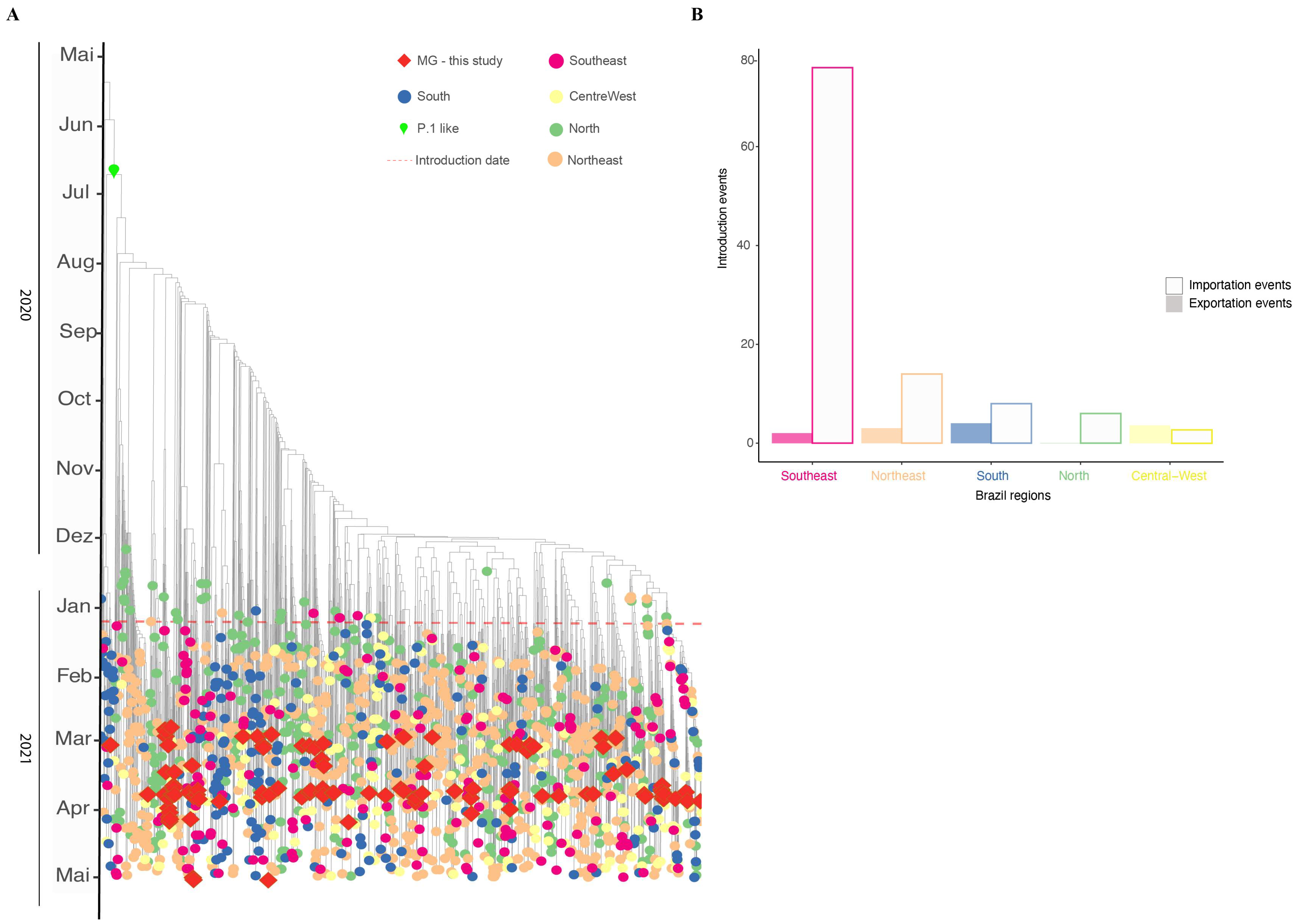 Viruses 14 02747 g006