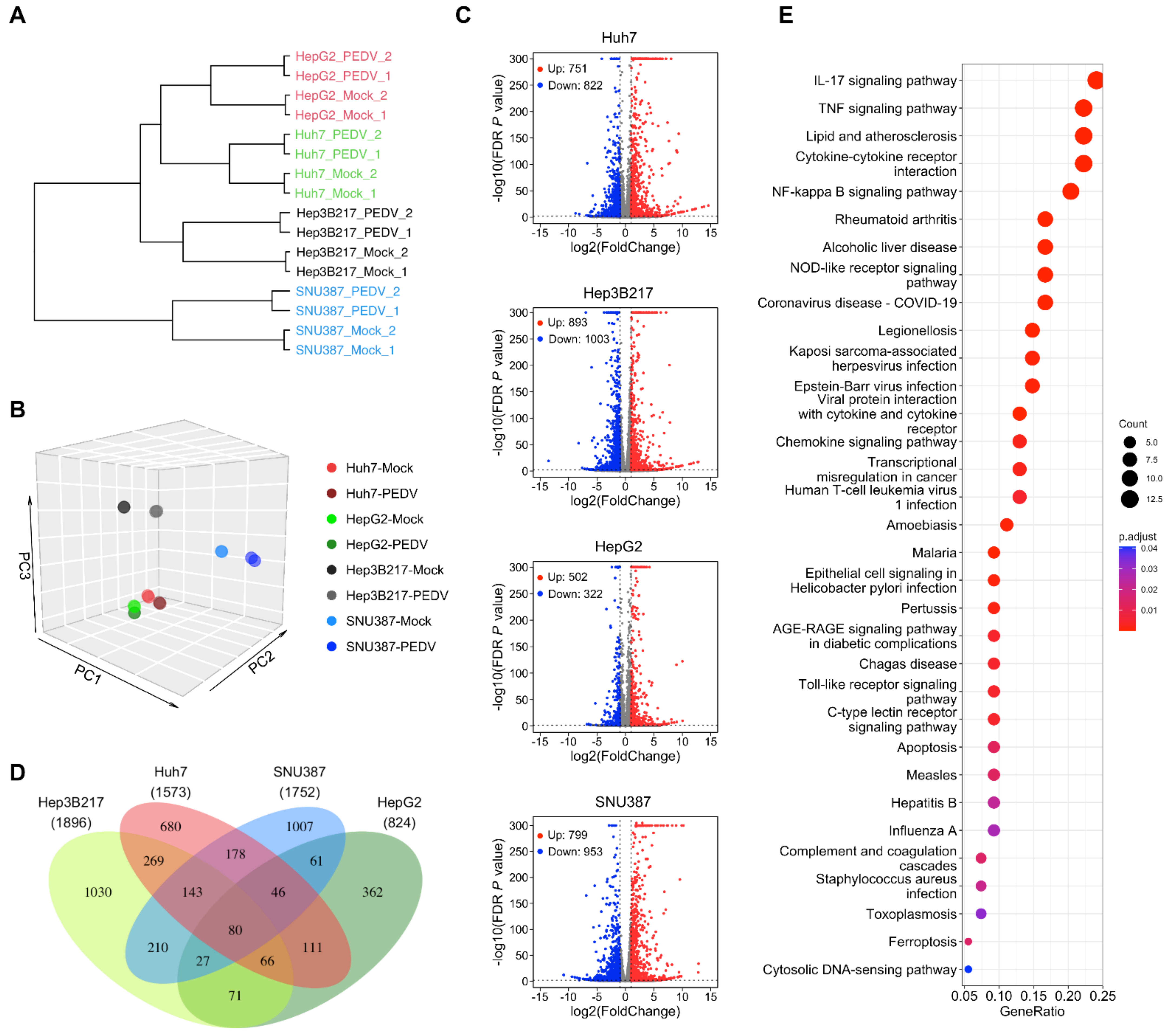 Viruses 14 02754 g003