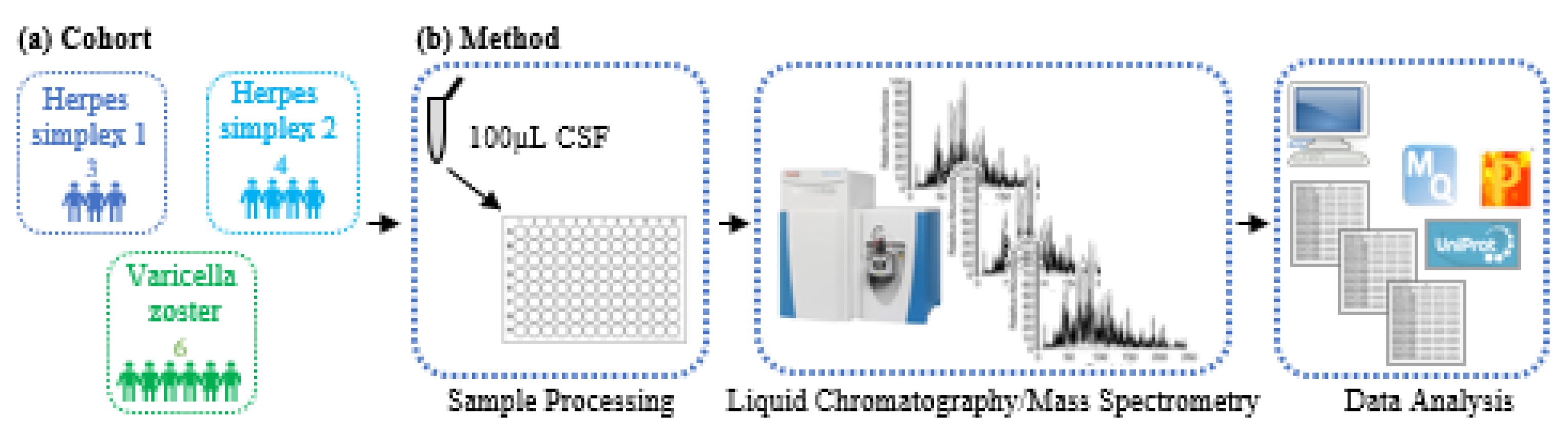 Viruses 14 02757 g001
