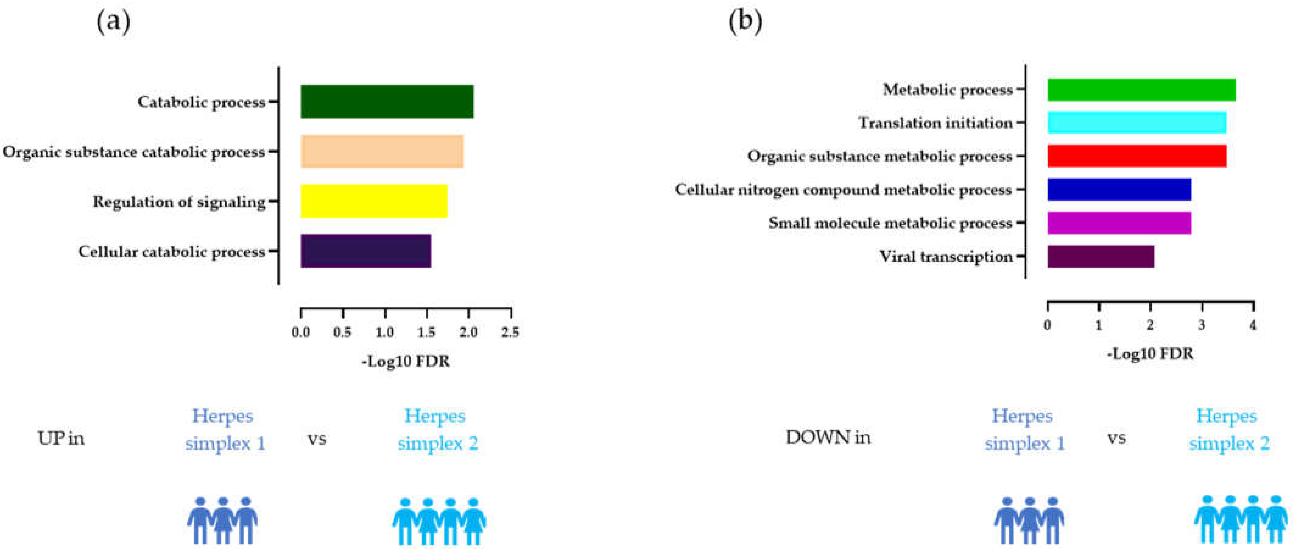 Viruses 14 02757 g003