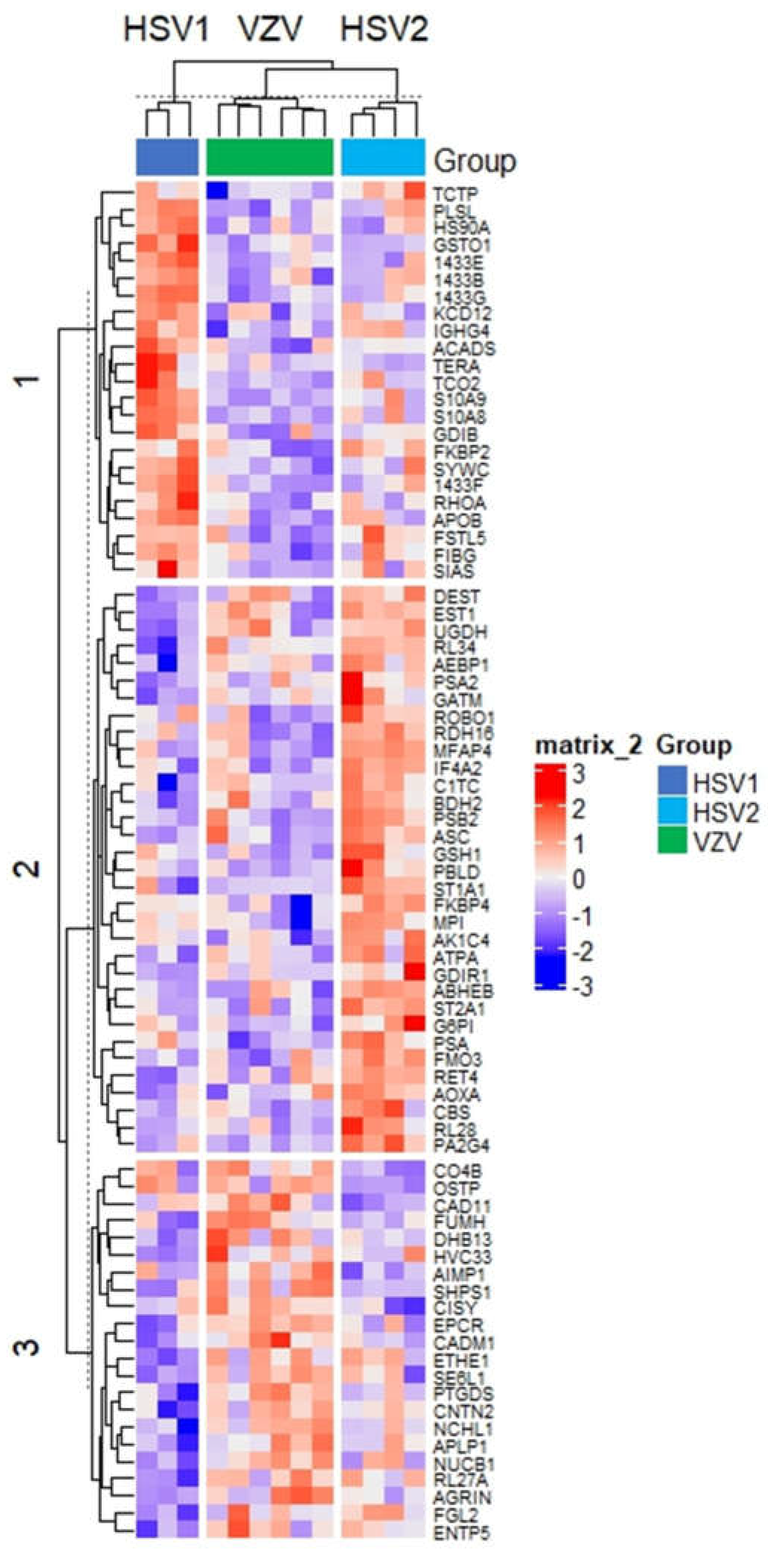 Viruses 14 02757 g005