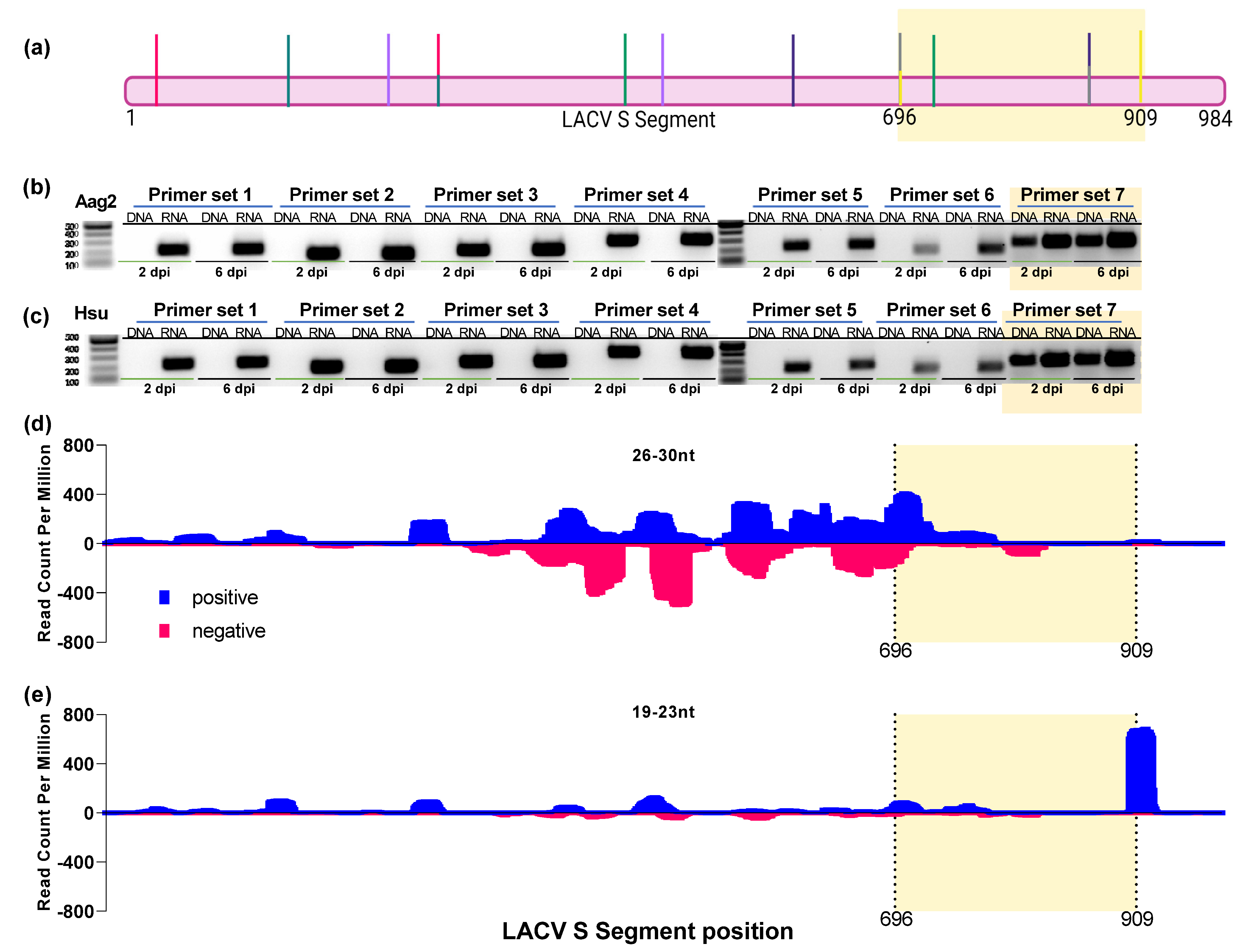 Viruses 14 02758 g010 Viruses 14 02758 g010