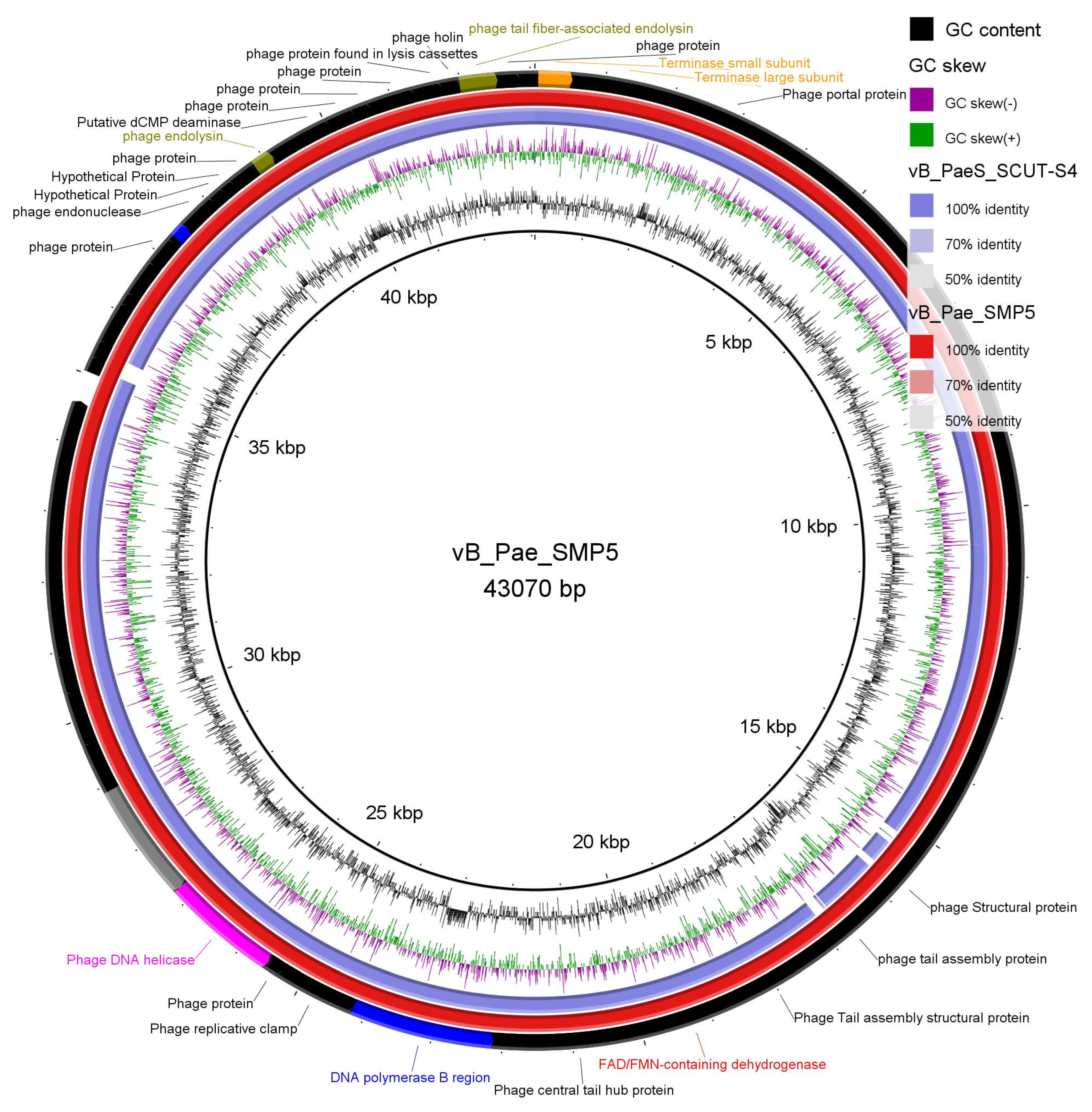 Viruses 14 02760 g002