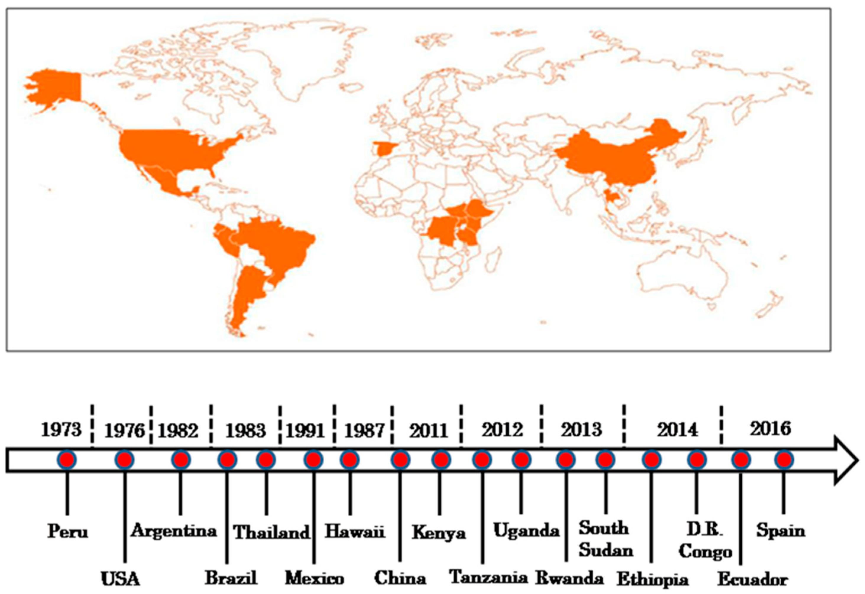 Viruses 14 02765 g001 Viruses 14 02765 g001