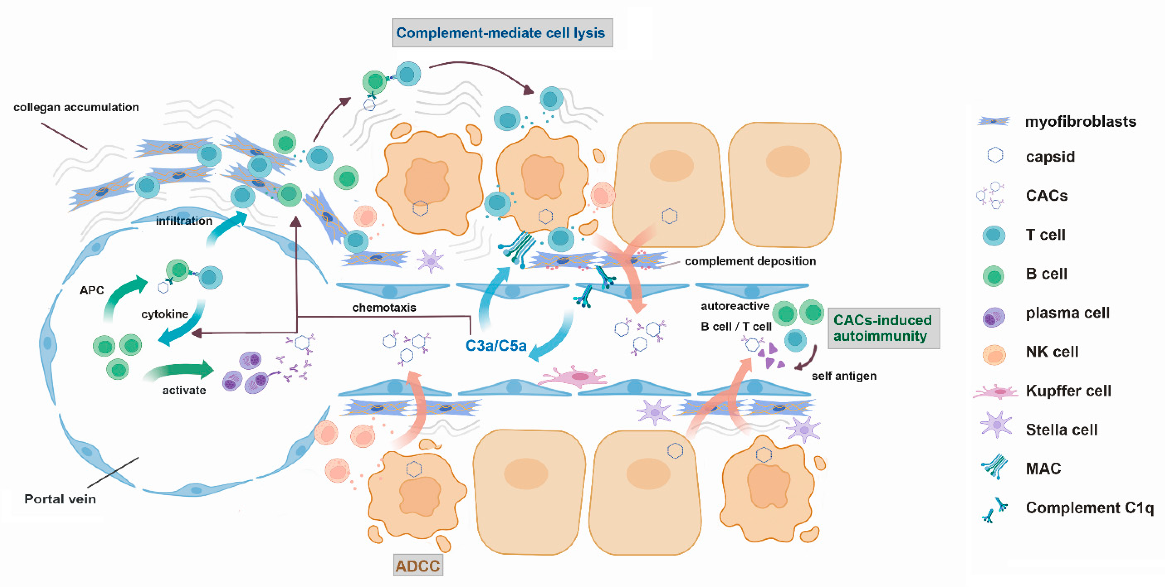 Viruses 14 02766 g001